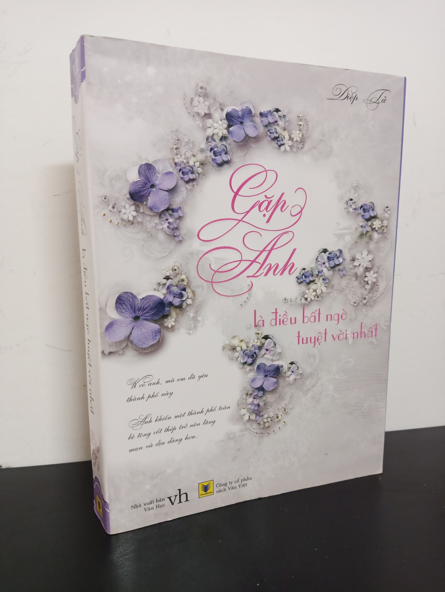 Gặp Anh Là Điều Bất Ngờ Tuyệt Vời Nhất (2011) - Diệp Lử Mới 90% 0602 (SL có thể đặt: 1 cuốn) - SÁCH ĐẠI HỌC