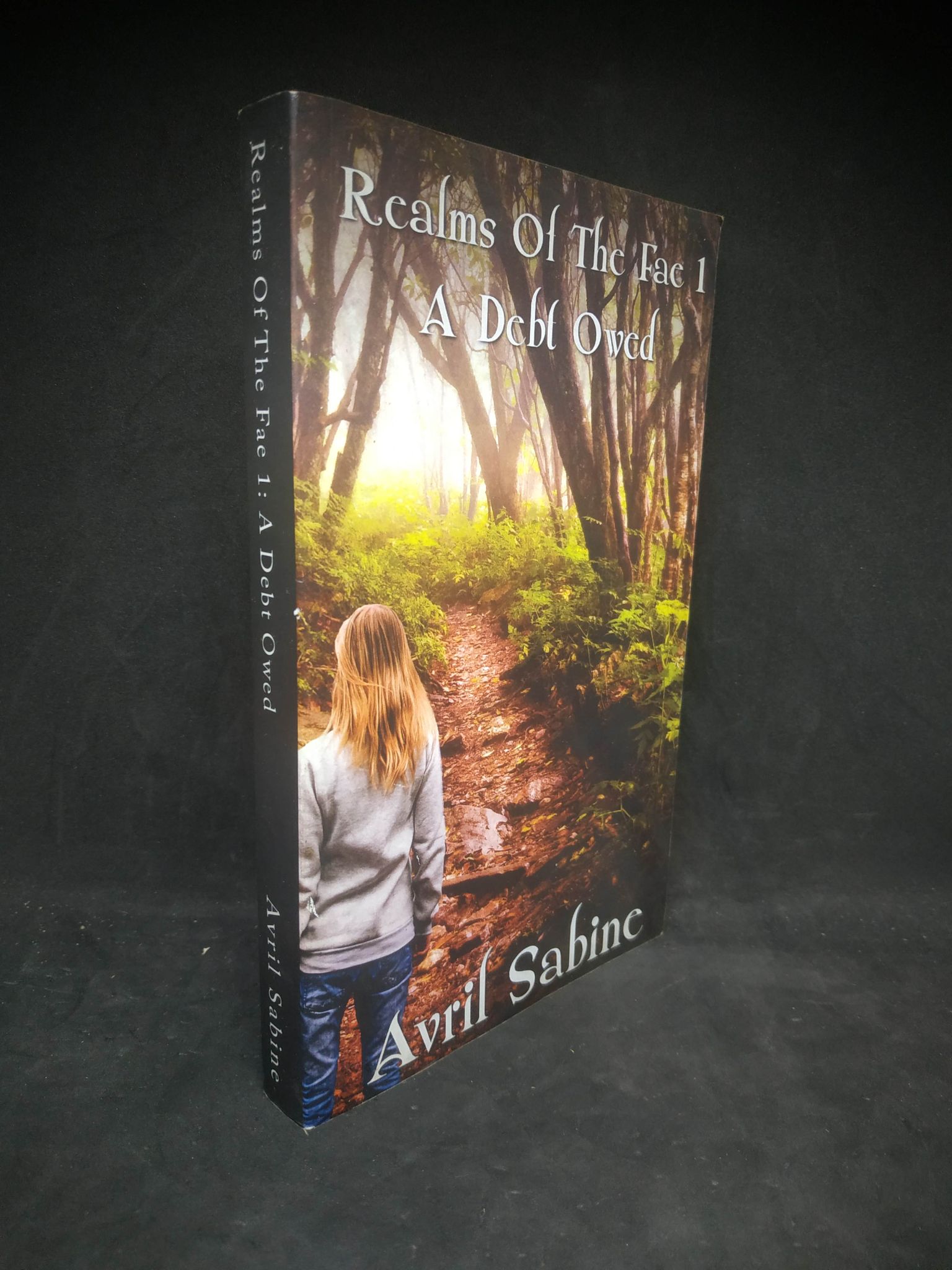 Realms Of the Fae 1 A debt owed mới 90% 2402 Sách ngoại văn (SL có thể đặt: 1 Cuốn) - SÁCH ĐẠI HỌC