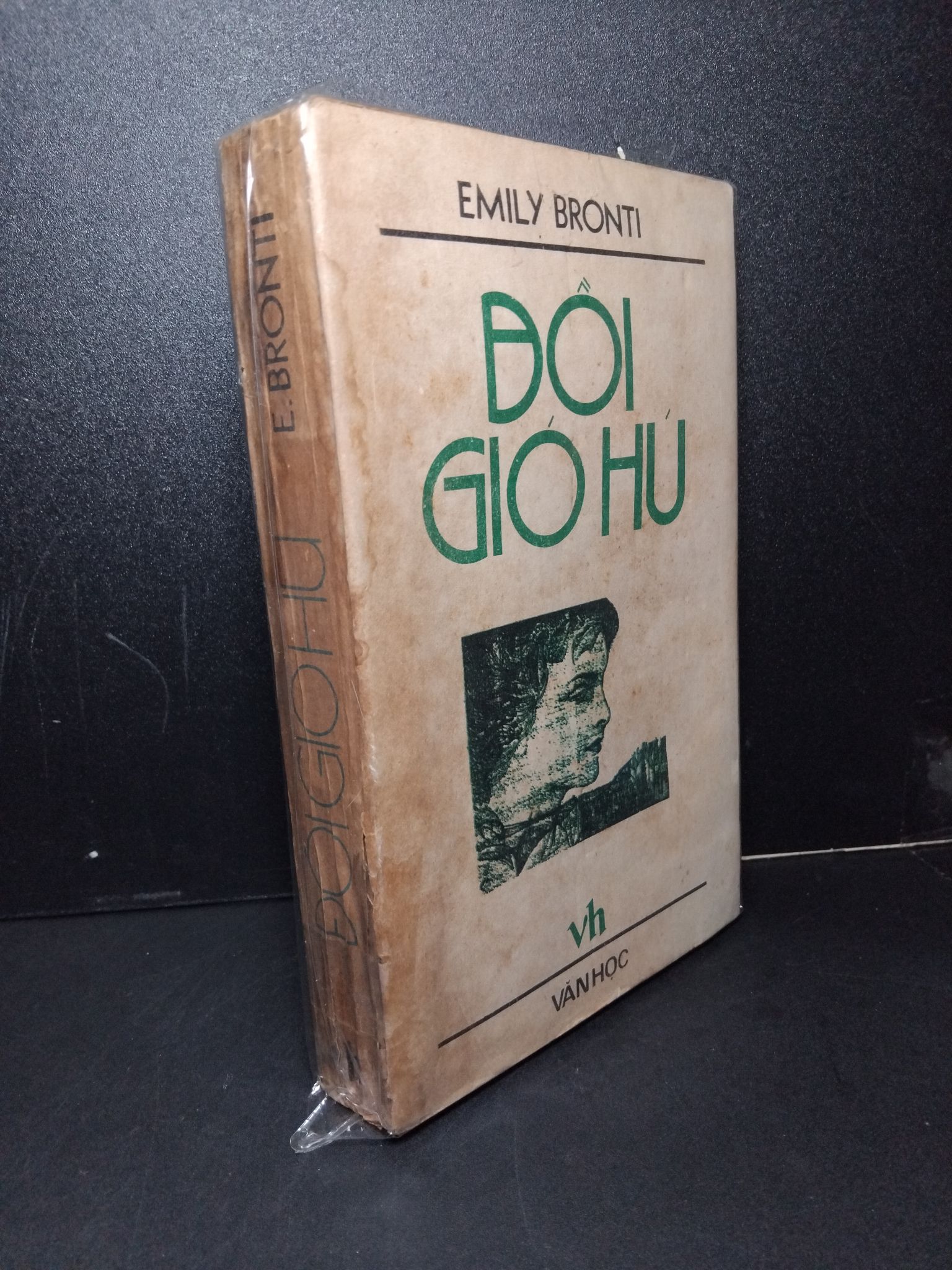 Đồi gió hú mới 80% bẩn bìa, ố vàng 1986 Emily Bronti 2603 Marketing, bán hàng (SL có thể đặt: 1 Cuốn) - SÁCH ĐẠI HỌC