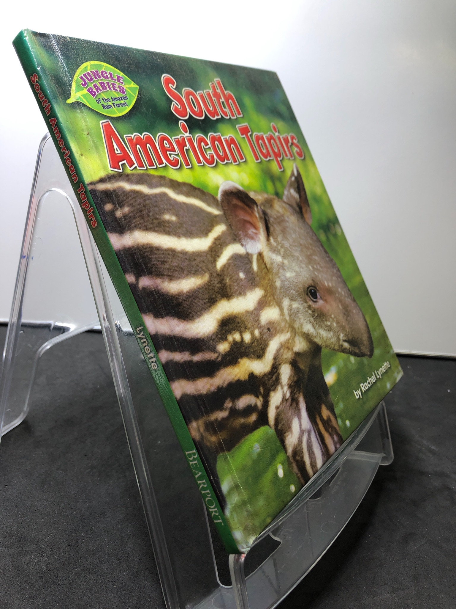 South American Tapirs BÌA CỨNG mới 85% bẩn nhẹ Rachel Lynette 2607 Sách ngoại văn (SL có thể đặt: 1 Cuốn) - SÁCH ĐẠI HỌC