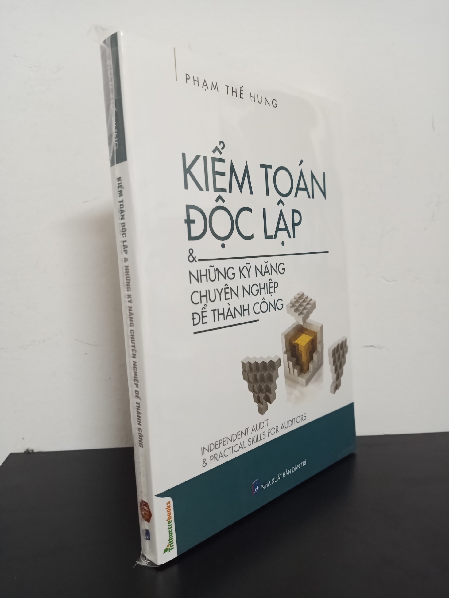 Kiểm Toán Độc Lập & Những Kỹ Năng Chuyên Nghiệp Để Thành Công - Phạm Thế Hưng Mới 100% 1303 Sách tư duy, kỹ năng sống (SL có thể đặt: 5 cuốn) - SÁCH ĐẠI HỌC