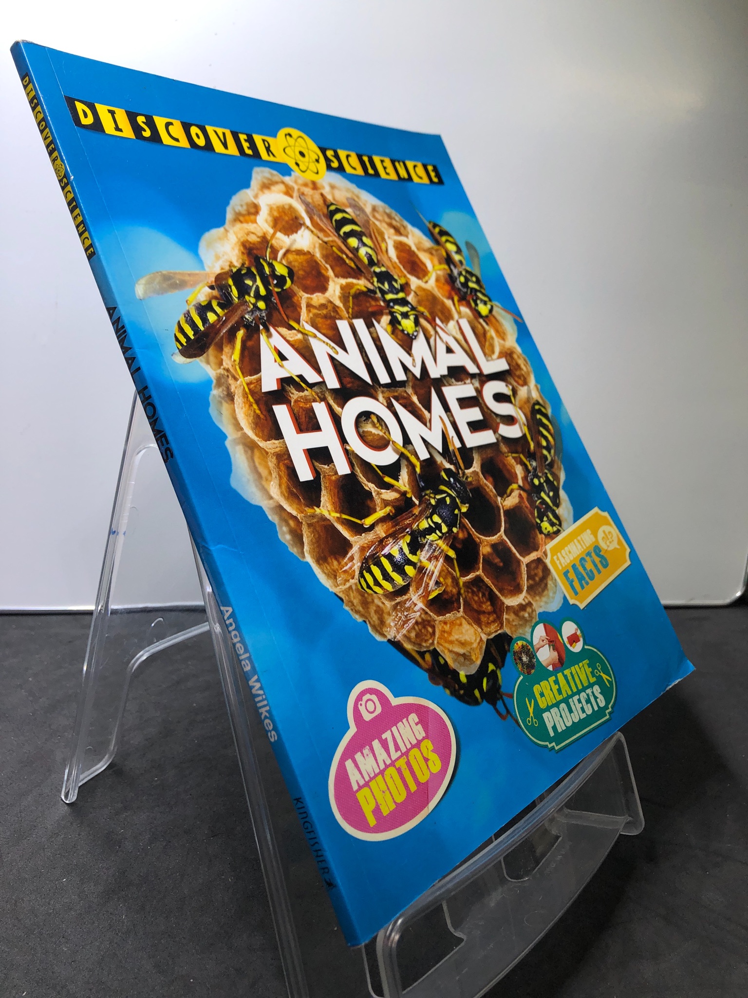 Animal Homes mới 85% bẩn nhẹ Kingfisher 2707 Sách ngoại văn (SL có thể đặt: 1 Cuốn) - SÁCH ĐẠI HỌC