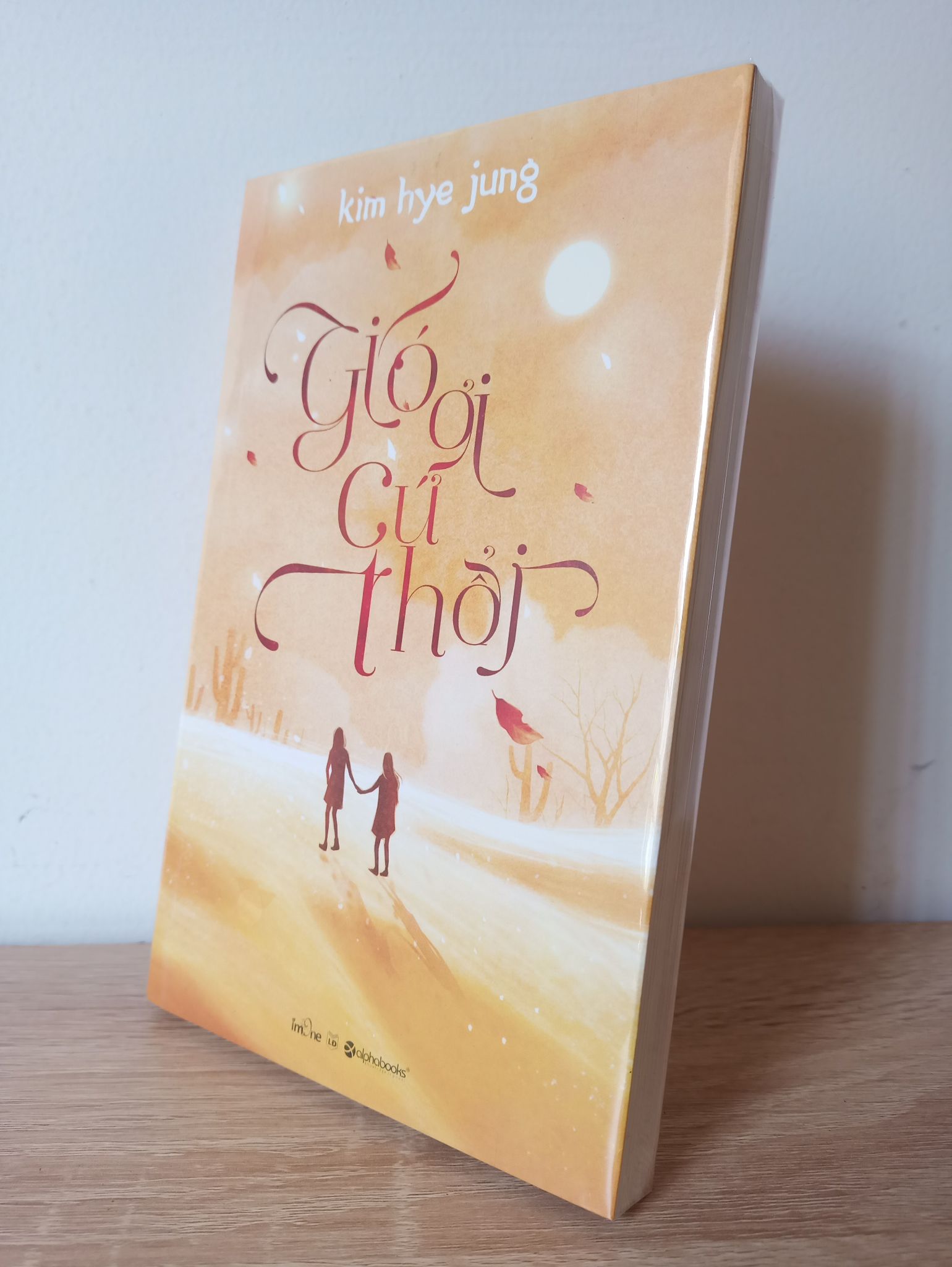 Gió Ơi Cứ Thổi - Kim Hye Jung New 90% 1107 (SL có thể đặt: 1 cuốn) - SÁCH ĐẠI HỌC