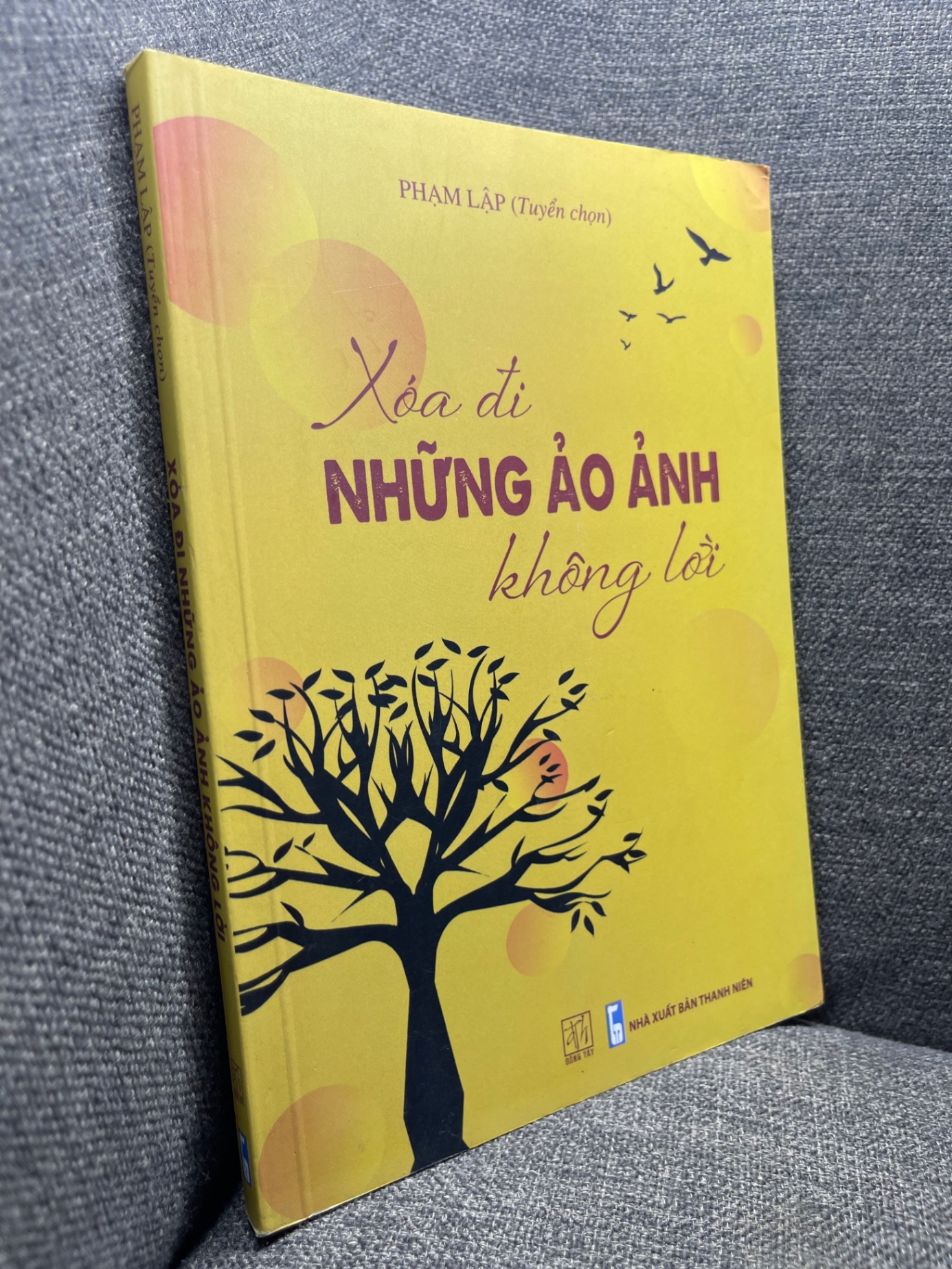 Xoá đi những ảo ảnh không lời Phạm Lập 2020 mới 80% 1704 (SL có thể đặt: 1 Cuốn) - SÁCH ĐẠI HỌC