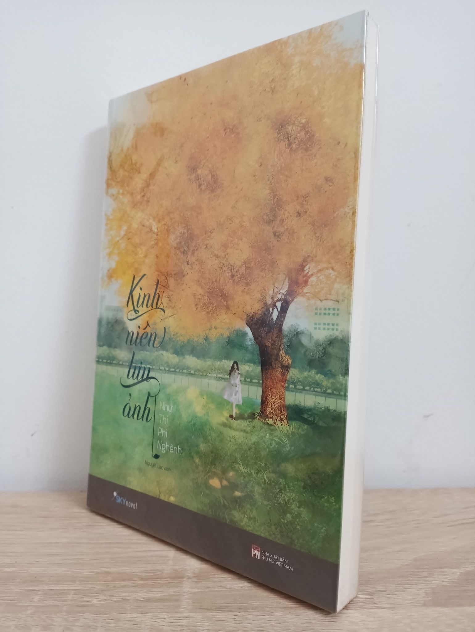 Kinh Niên Lưu Ảnh - Như Thị Phi Nghênh New 90% 0907 (SL có thể đặt: 1 cuốn) - SÁCH ĐẠI HỌC