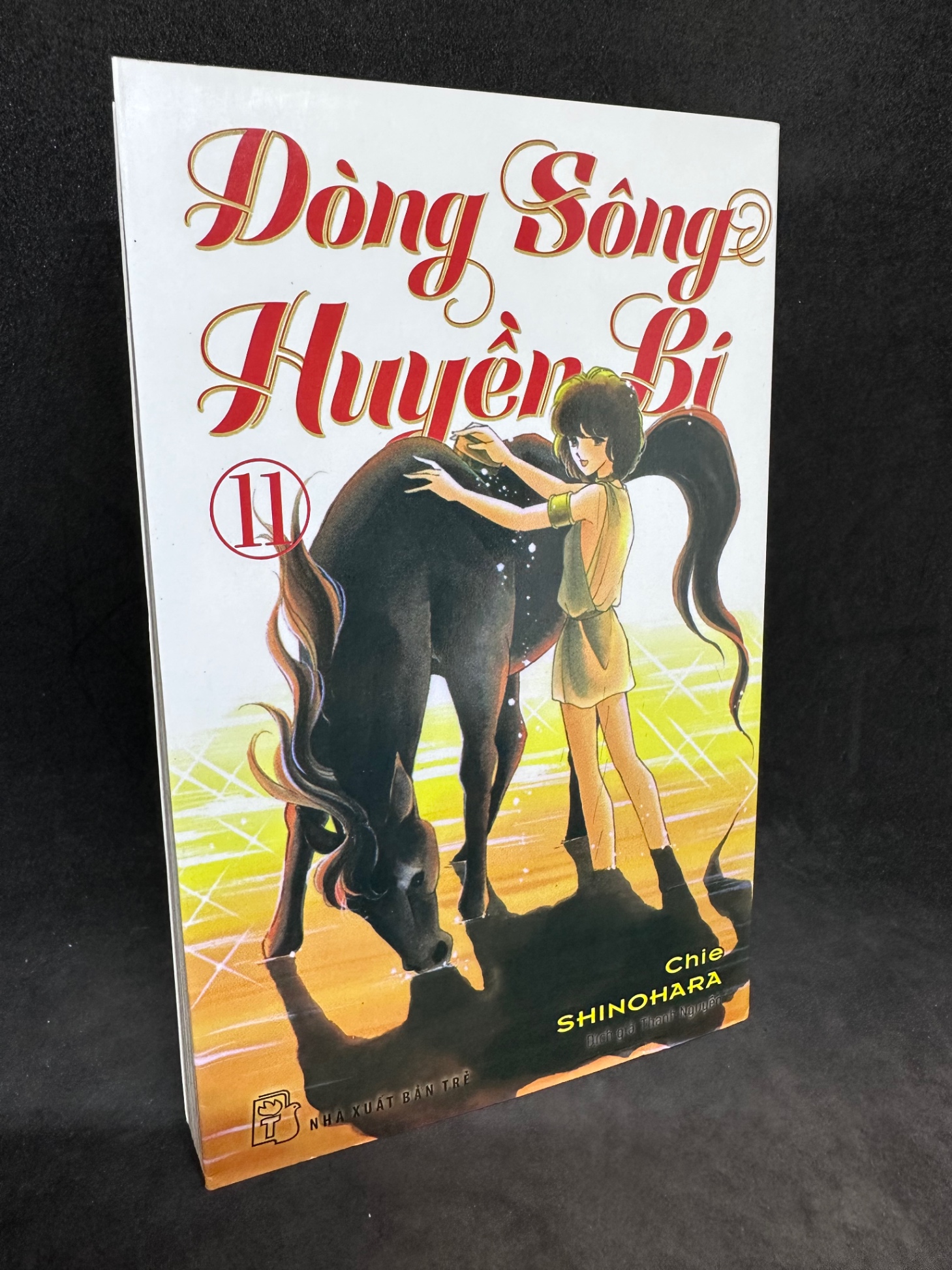 Dòng sông huyền bí, tập 11. Mới 85% 1508 Truyện tranh (SL có thể đặt: 5 Cuốn) - SÁCH ĐẠI HỌC