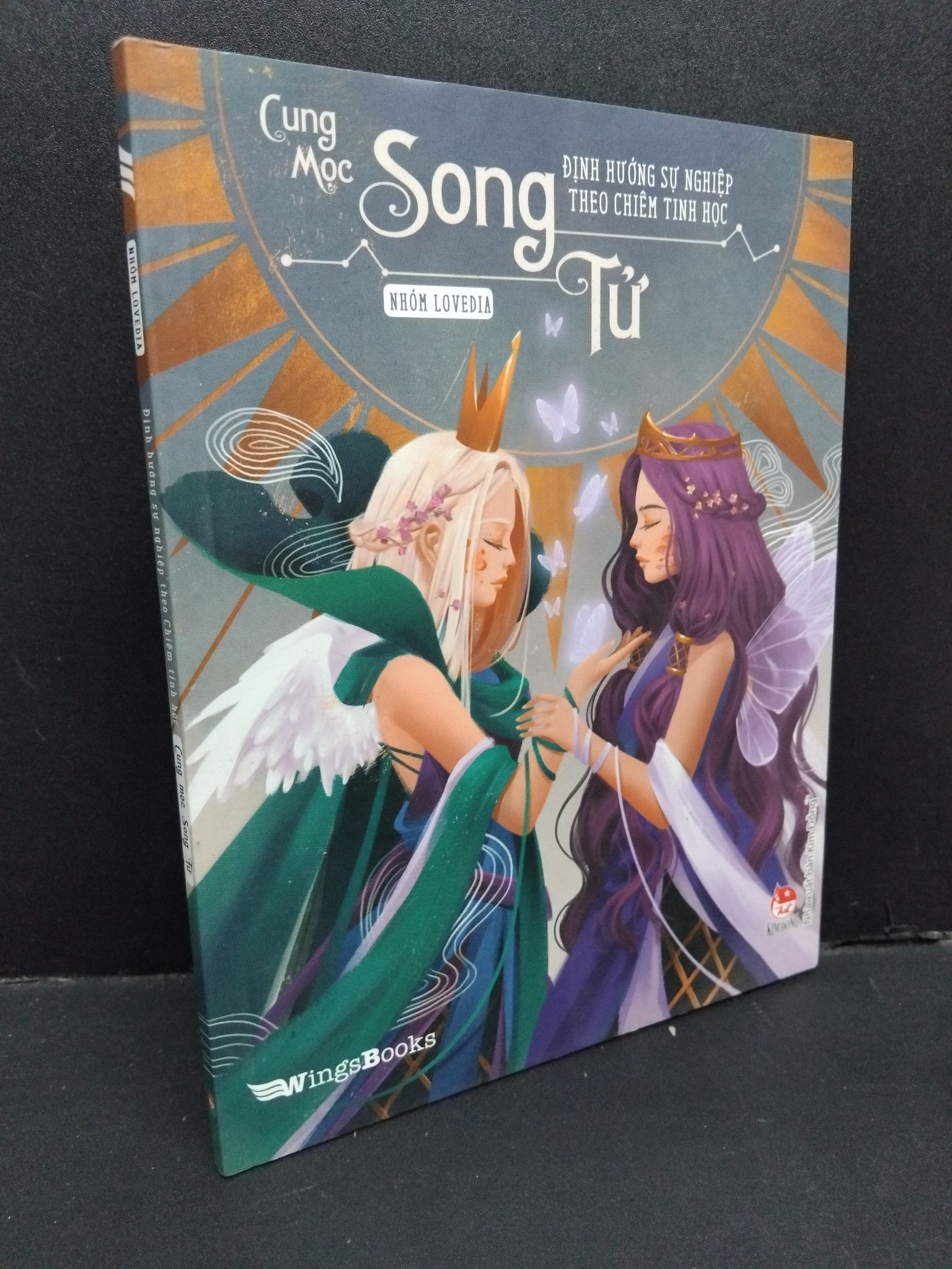 Định hướng sự nghiệp theo chiêm tinh học Cung mọc Song Tử mới 90% bẩn nhẹ 2019 0811 Sách chiêm tinh, horoscope (SL có thể đặt: 1 Cuốn) - SÁCH ĐẠI HỌC