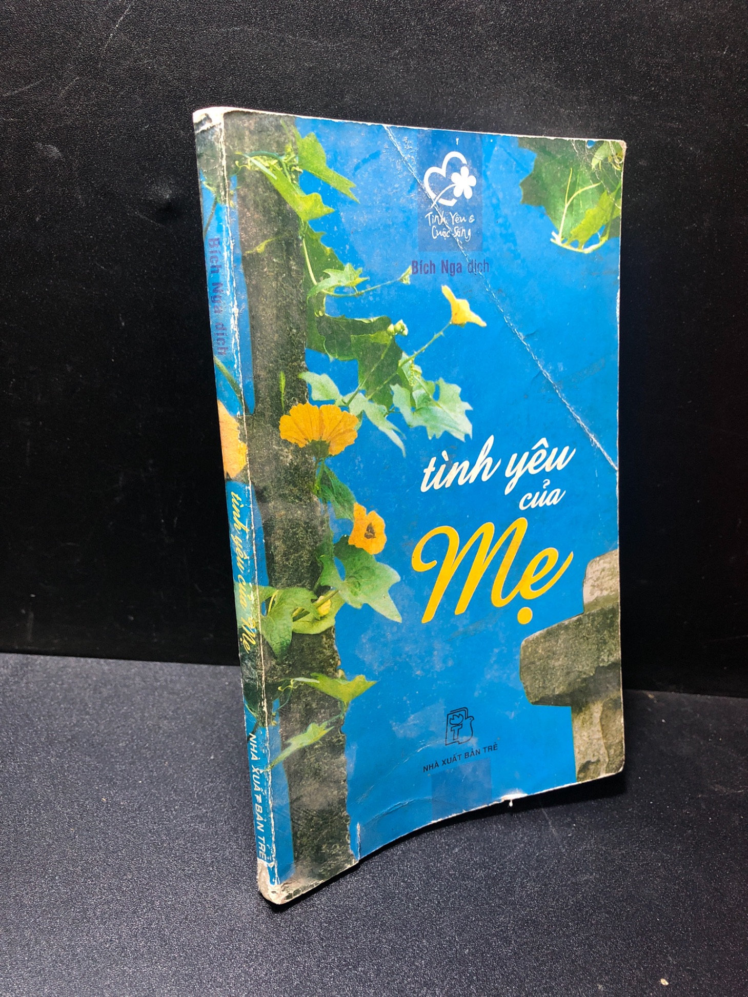 Tình yêu của mẹ Bích Nga dịch 2004 mới 50% gập bìa, ố 1111 (SL có thể đặt: 1 Cuốn) - SÁCH ĐẠI HỌC