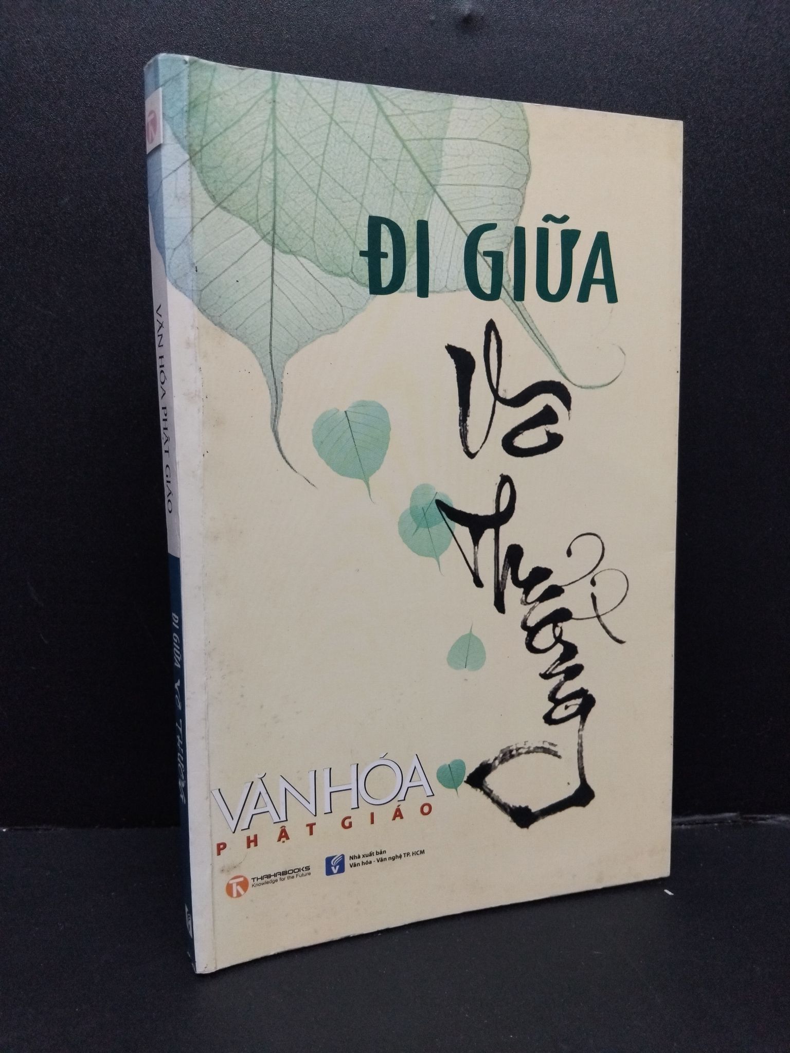 Đi giữa vô thường mới mới 80% ố nhẹ 2012 1008 Văn hóa Phật giáo Phật giáo (SL có thể đặt: 1 Cuốn) - SÁCH ĐẠI HỌC
