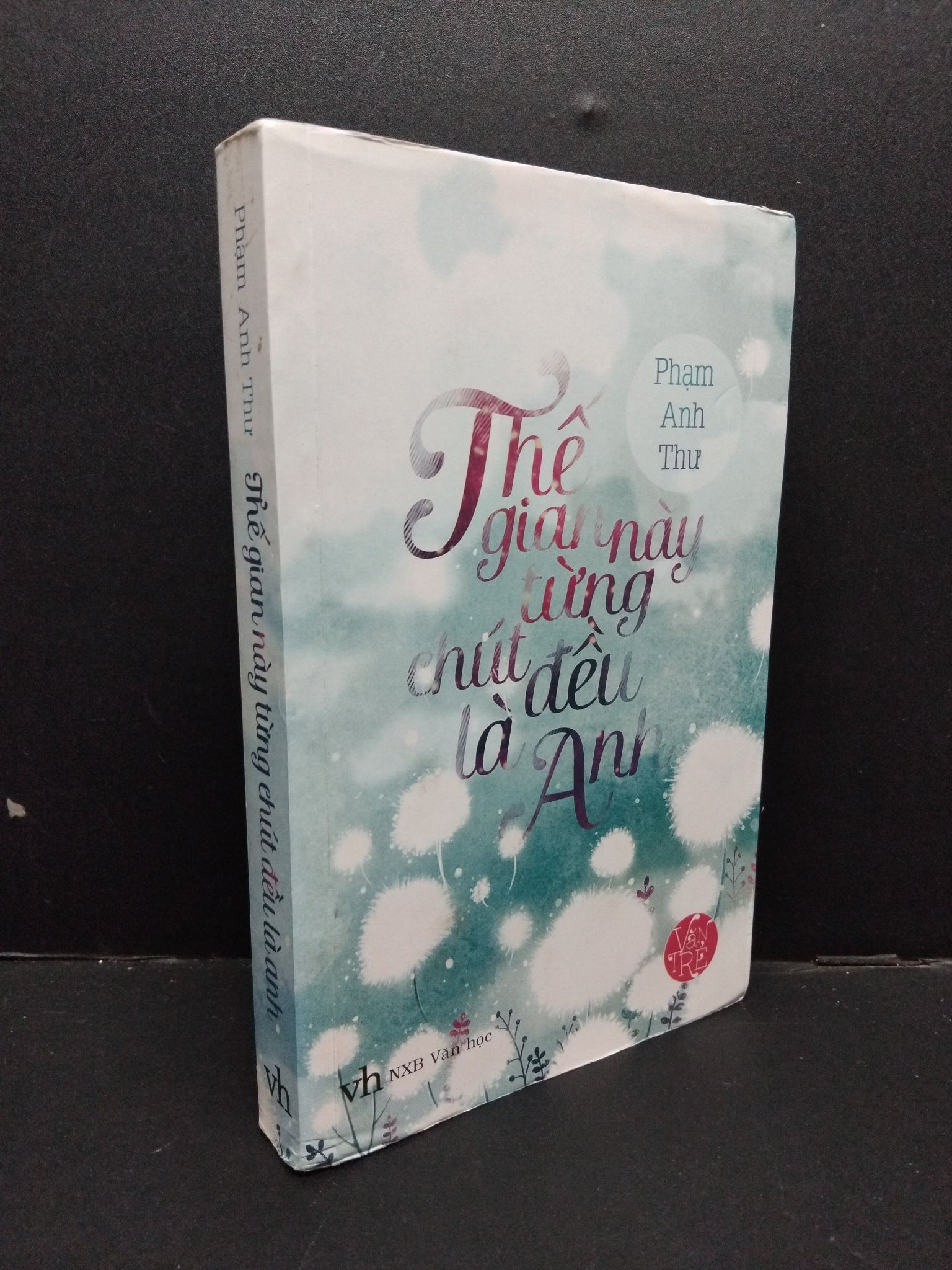 Thế gian này từng chút đều là anh Phạm Anh Thư mới 80% ố vàng 2014 0609 (SL có thể đặt: 1 Cuốn) - SÁCH ĐẠI HỌC