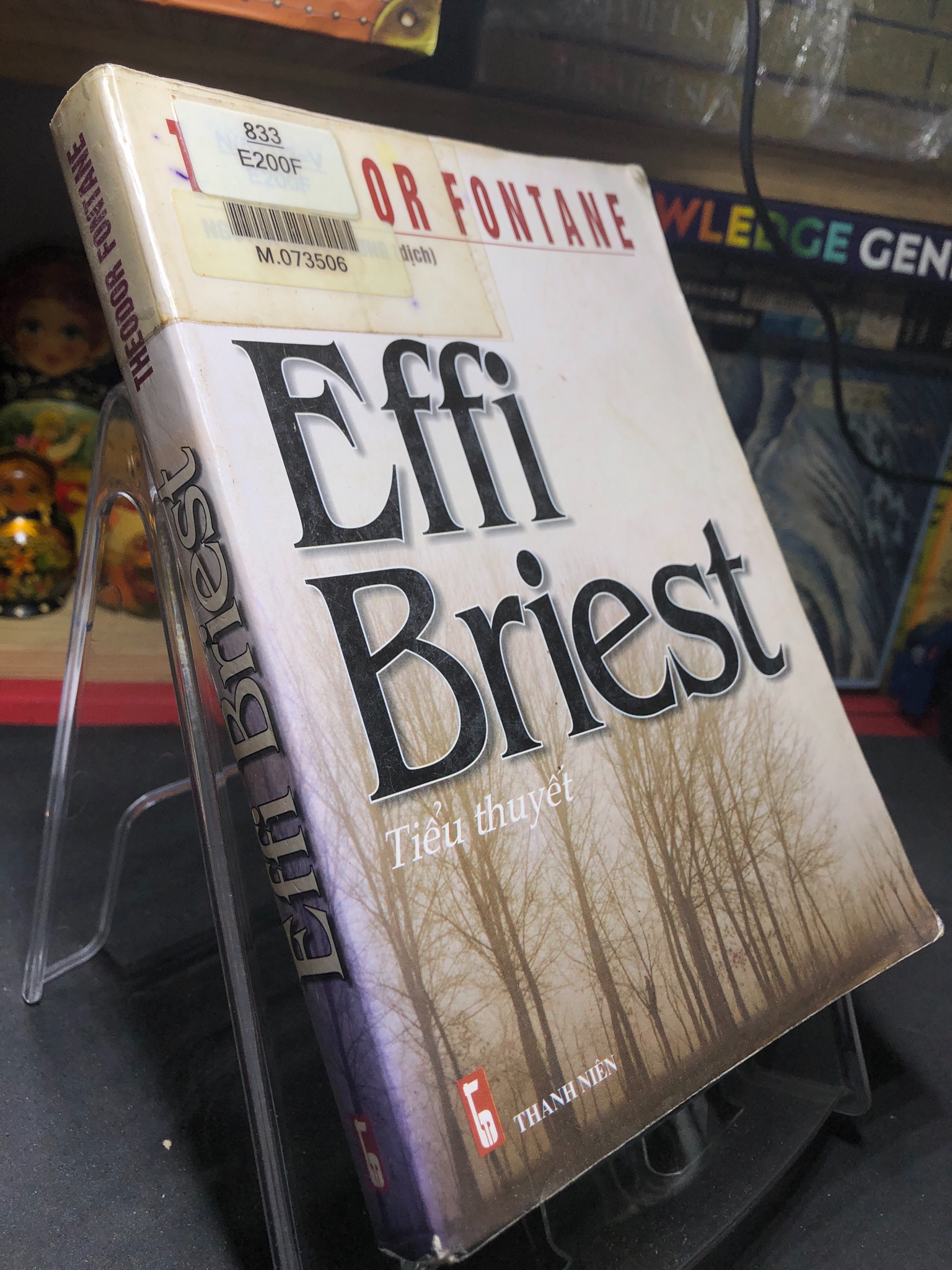 Effi Briest 2006 mới 70% ố bẩn nhẹ Theodor Fontane 0906 (SL có thể đặt: 1 Cuốn) - SÁCH ĐẠI HỌC