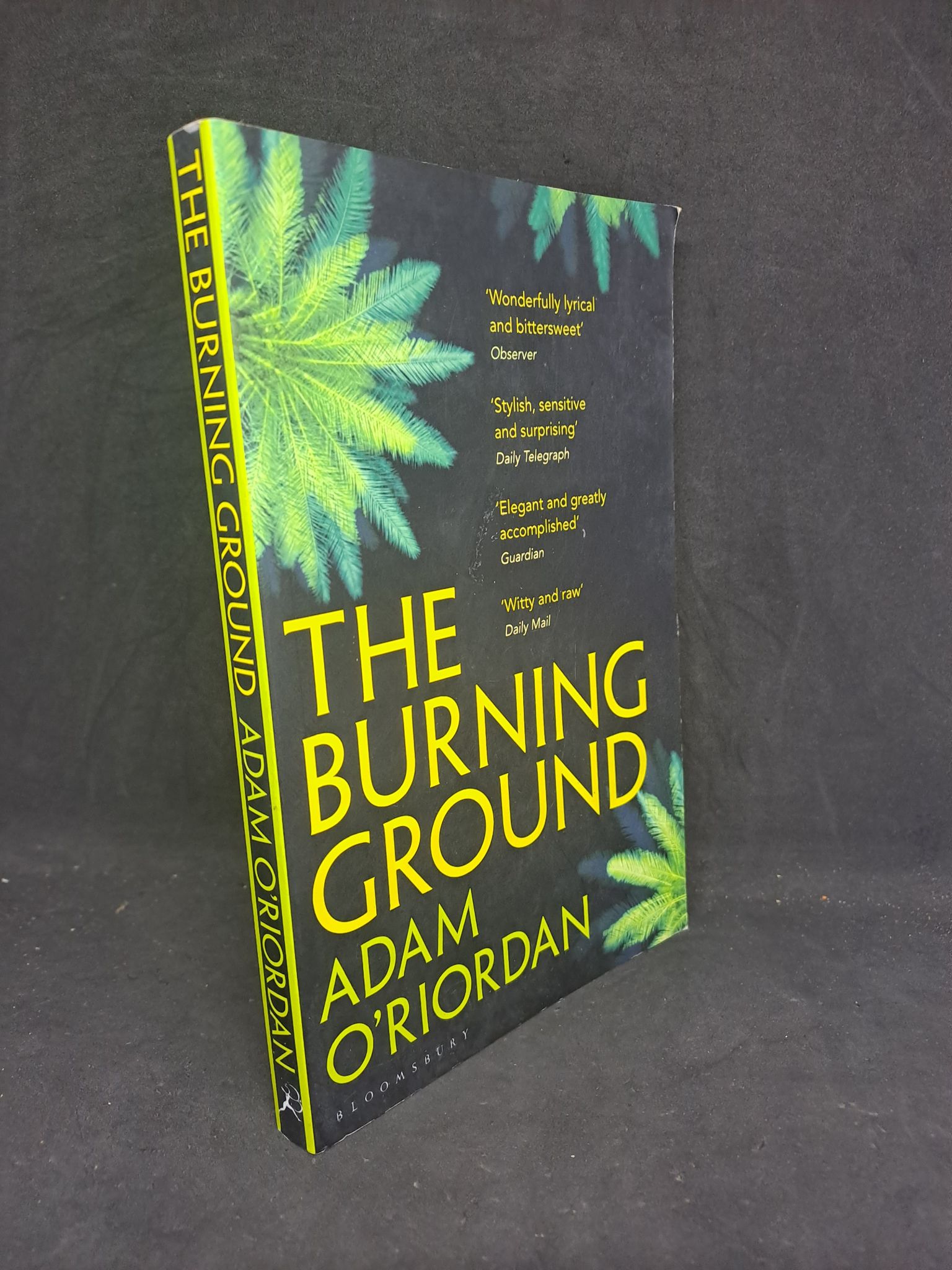 The Burning Ground - Adam O'riordan mới 80% 1207 Sách ngoại văn (SL có thể đặt: 1 Cuốn) - SÁCH ĐẠI HỌC