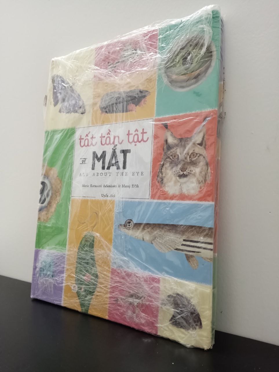 Tất Tần Tật Về Mắt - All About The Eye Marie Kotasová Adámková, Matej Ilčík New 100% 2702 (SL có thể đặt: 1 cuốn) - SÁCH ĐẠI HỌC