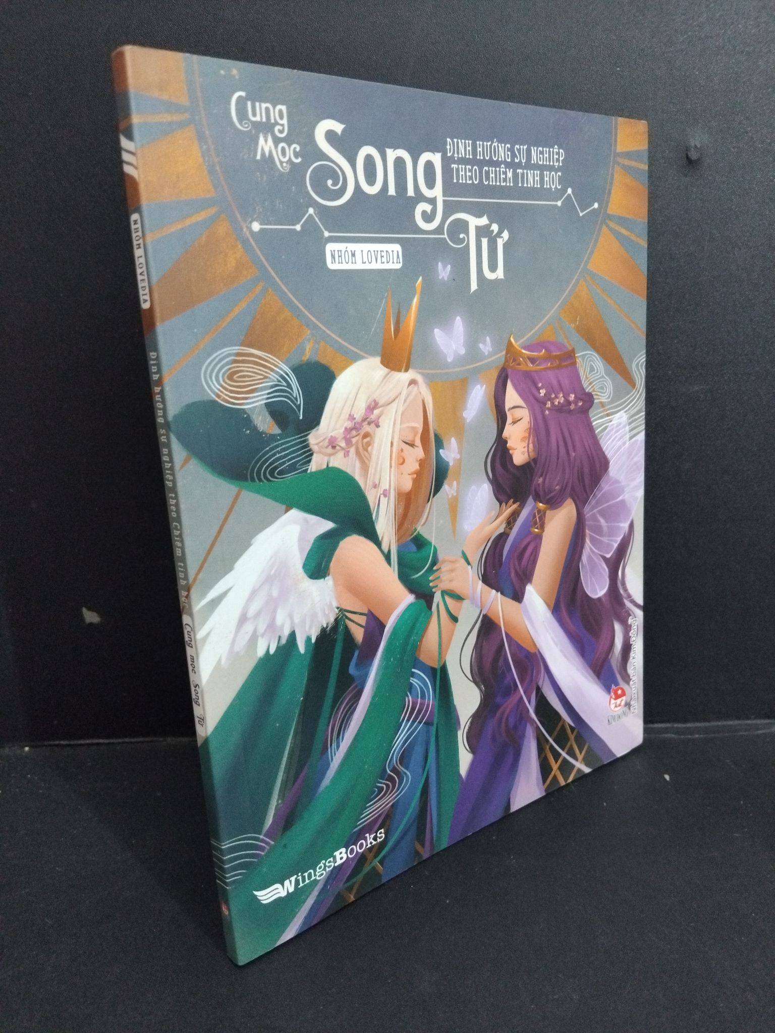 Định hướng sự nghiệp theo chiêm tinh học cung mộc Song Tử mới 90% ố nhẹ 2019 0911 Sách chiêm tinh, horoscope (SL có thể đặt: 1 Cuốn) - SÁCH ĐẠI HỌC