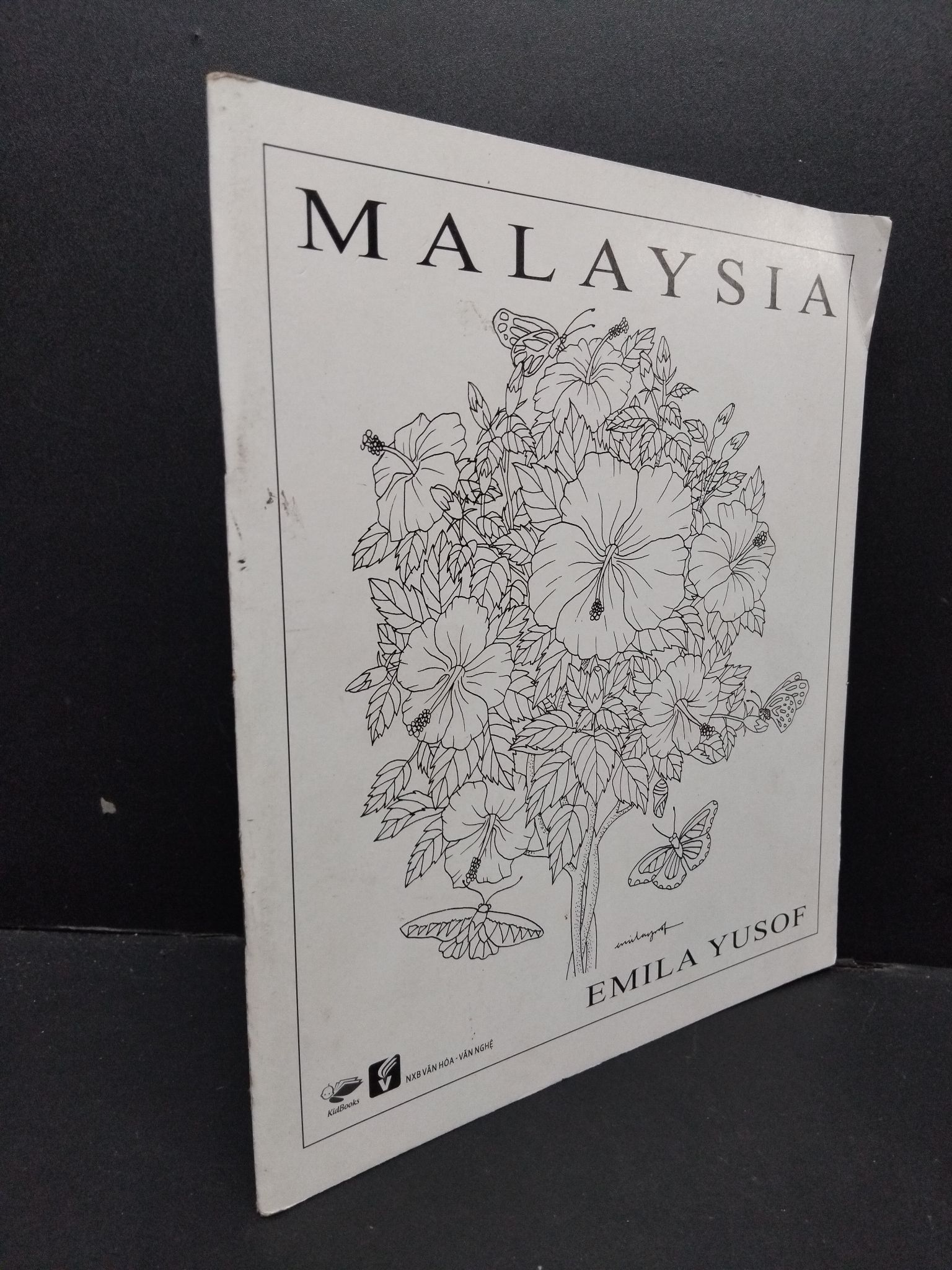 Malaysia mới 90% bẩn nhẹ 2016 1209 Emila Yusof Sách tư duy, kỹ năng sống (SL có thể đặt: 7 Cuốn) - SÁCH ĐẠI HỌC
