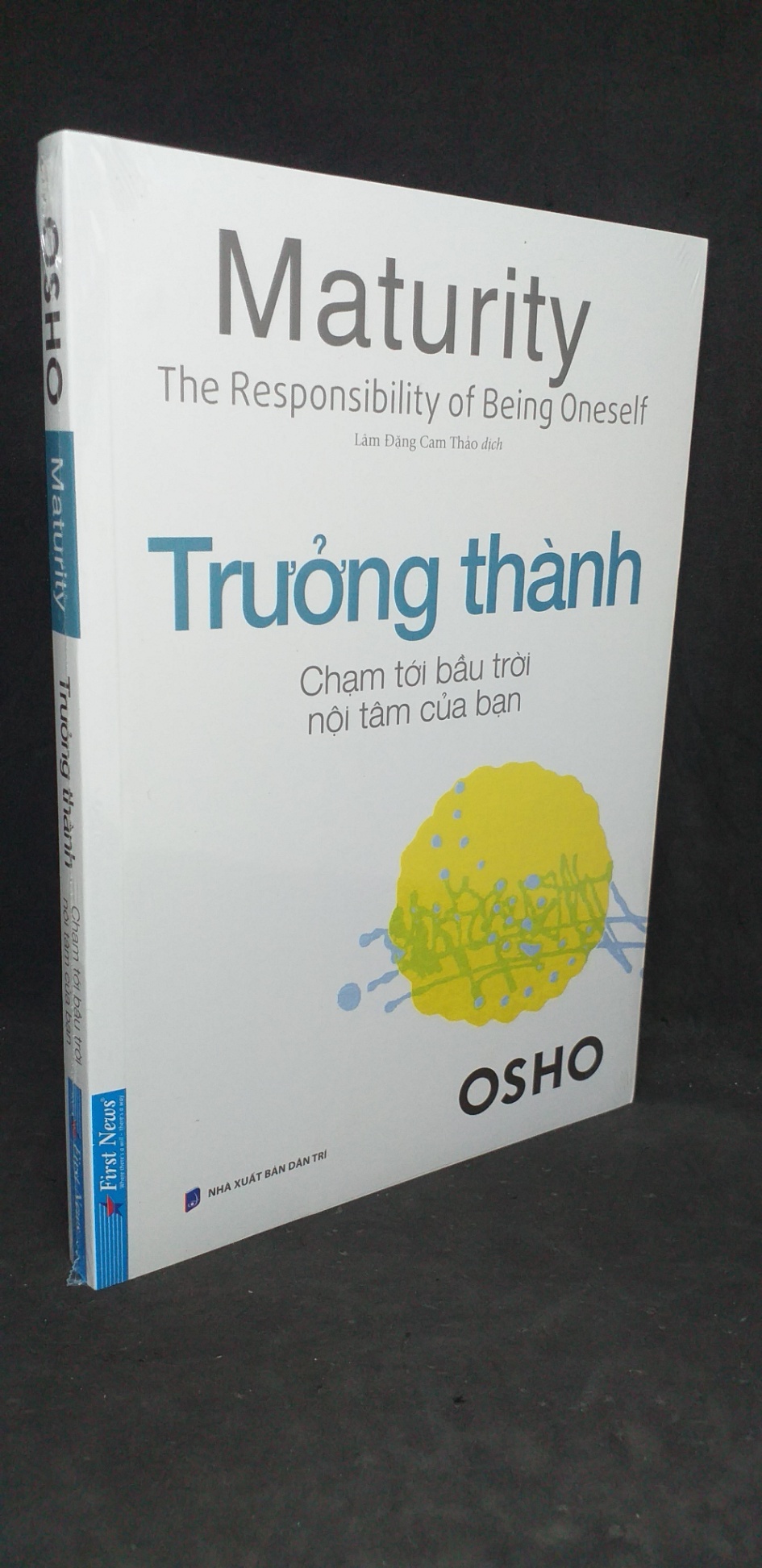 Trưởng thành - chạm tới bầu trời nội tâm của bạn mới 100% Q7-1005 (SL có thể đặt: 1 cuốn) - SÁCH ĐẠI HỌC