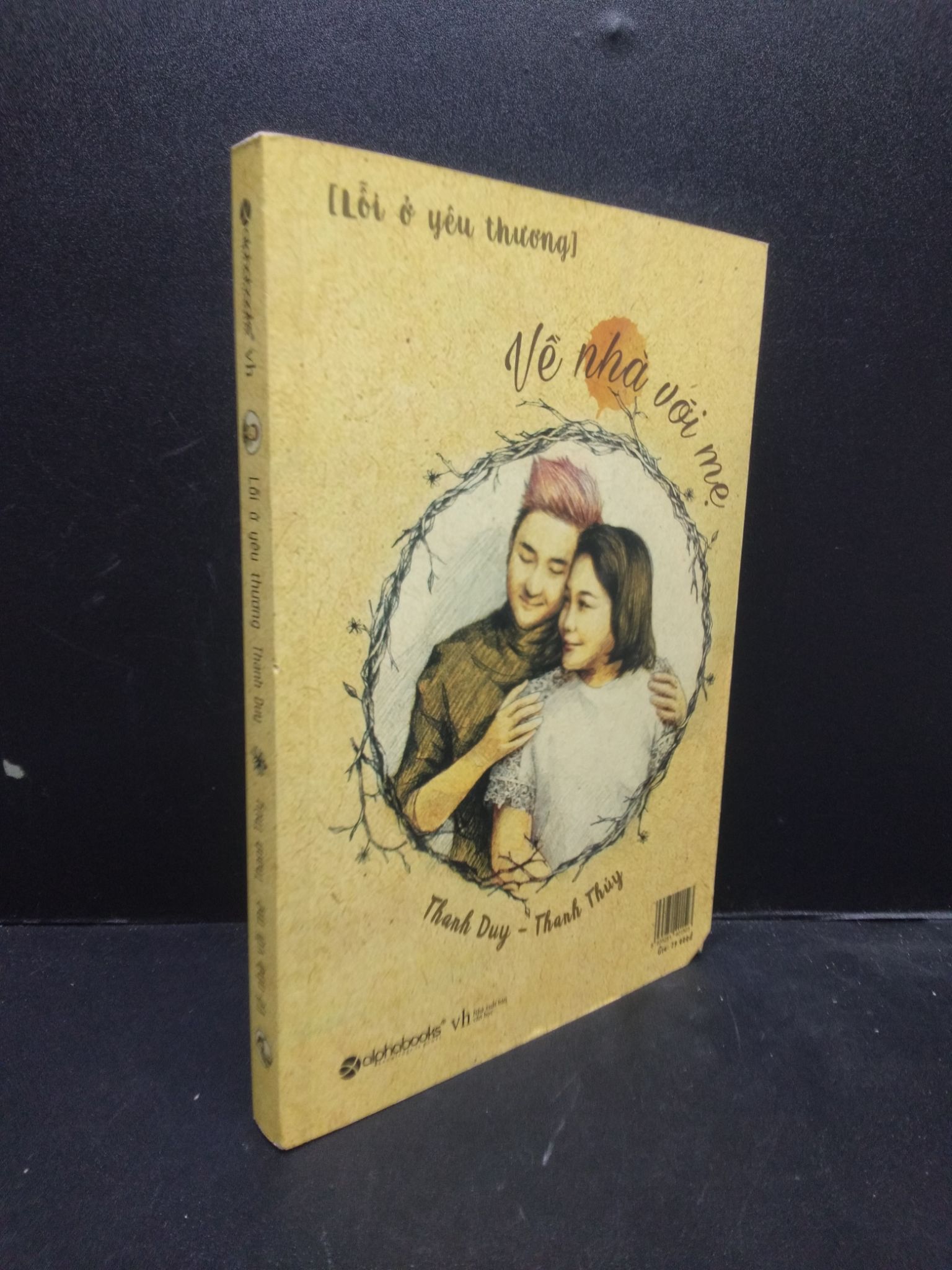 Lỗi ở yêu thương - Về nhà với mẹ năm 2016 mới 70% ố vàng 2902 văn học (SL có thể đặt: 1 Cuốn) - SÁCH ĐẠI HỌC
