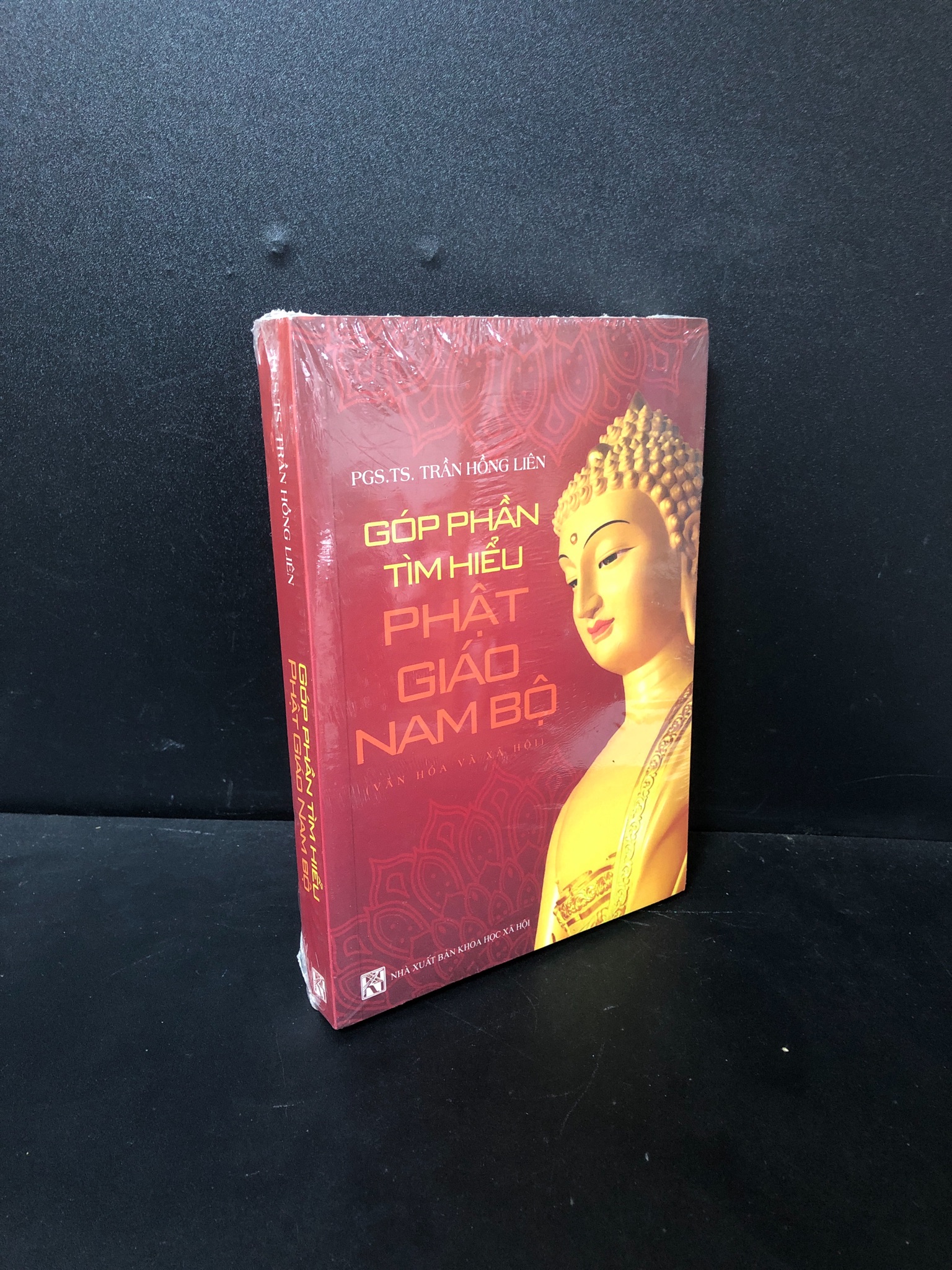 Góp phần tìm hiểu Phật giáo Nam bộ PGS. TS Trần Hồng Liên mới 100% nguyên seal 0111 Phật giáo (SL có thể đặt: 1 Cuốn) - SÁCH ĐẠI HỌC