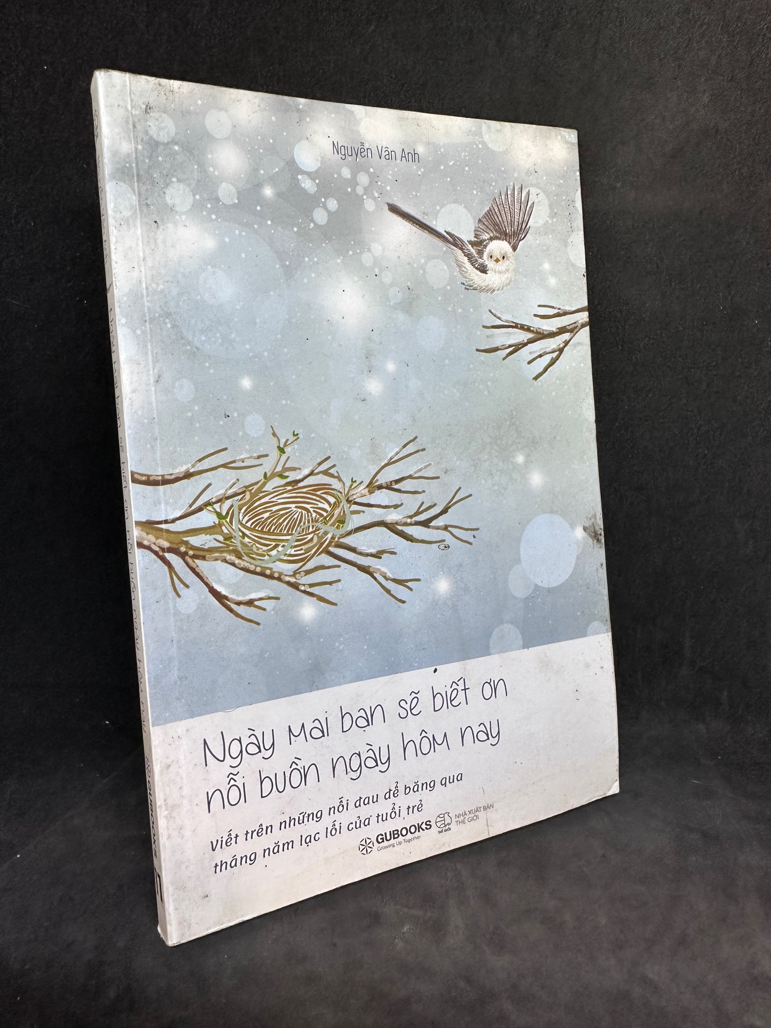 Ngày mai bạn sẽ biết ơn nỗi buồn ngày hôm nay, Nguyễn Vân Anh, 2018, mới 80% (có vết ố) 0812 (SL có thể đặt: 1 Cuốn) - SÁCH ĐẠI HỌC