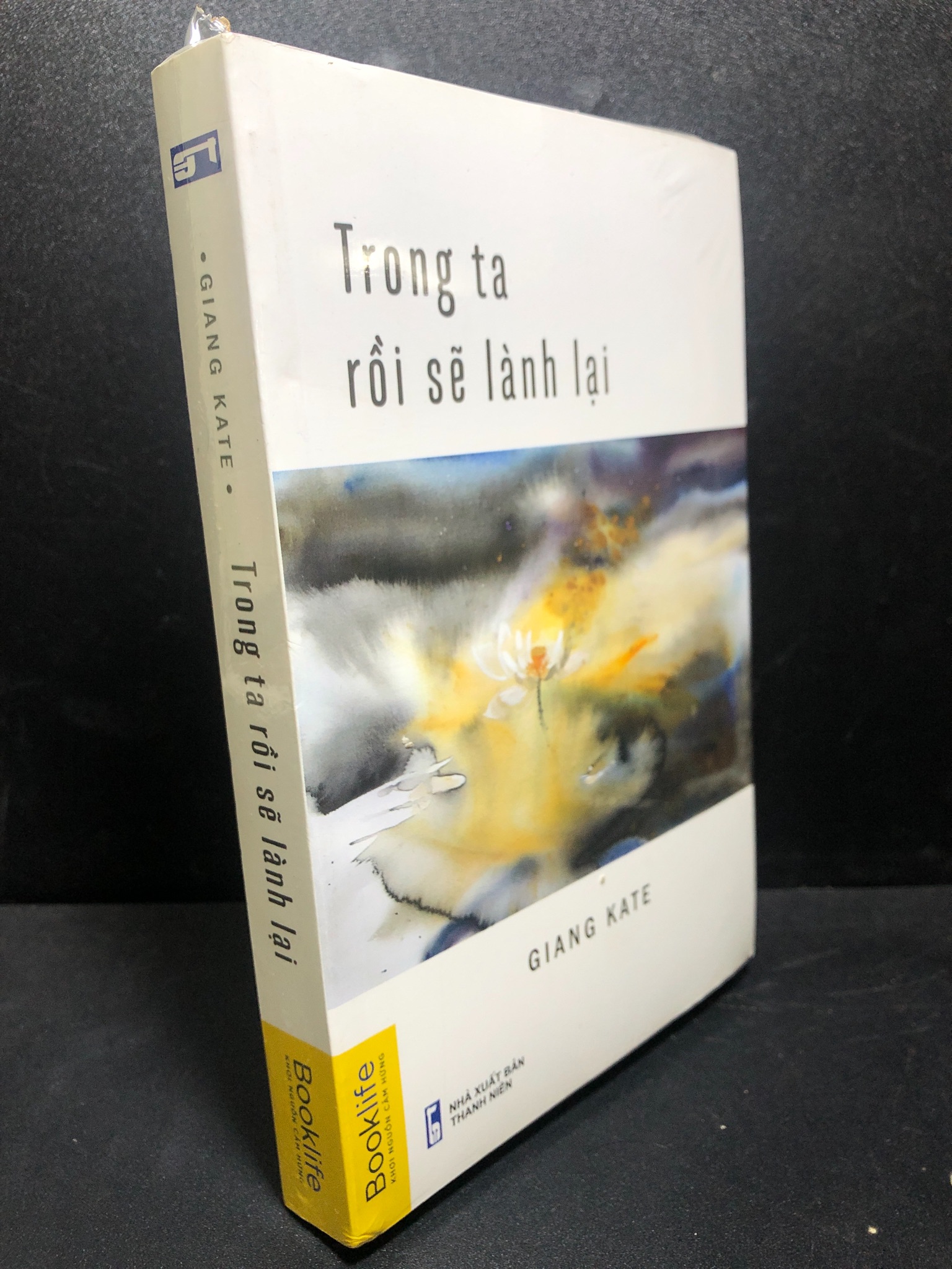 Trong ta rồi sẽ lành lại Giang Kate mới 100% 1812 (SL có thể đặt: 1 Cuốn) - SÁCH ĐẠI HỌC