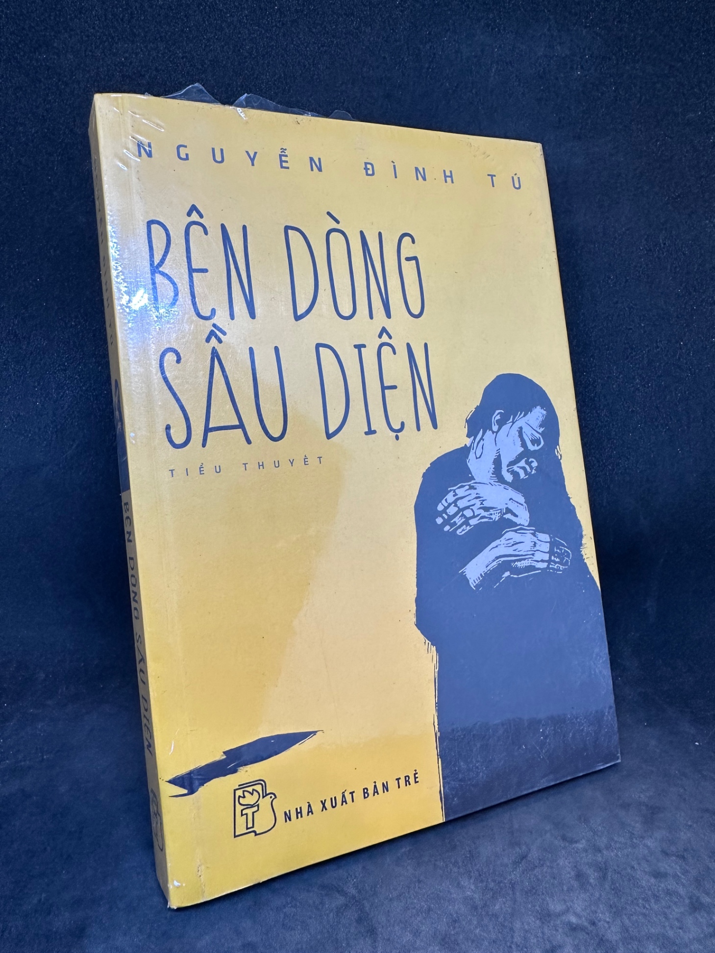 Bên dòng sầu diện Nguyễn Đình Tú New 90% 2703 (SL có thể đặt: 1 Cuốn) - SÁCH ĐẠI HỌC