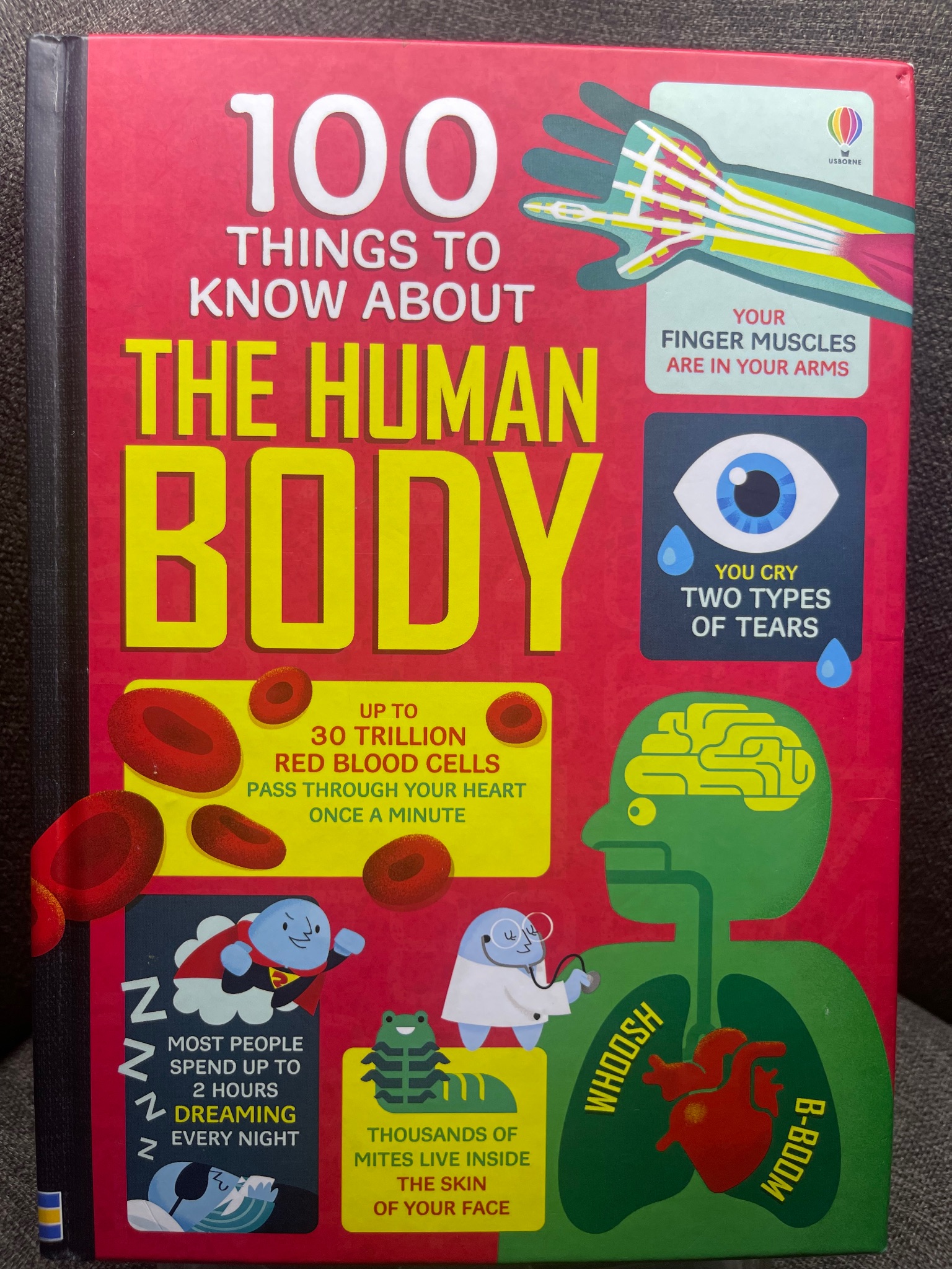 100 things to know about the human body mới 90% sách màu ngoại văn khoa học đời sống Usborne 1605 Sách ngoại văn (SL có thể đặt: 1 Cuốn) - SÁCH ĐẠI HỌC