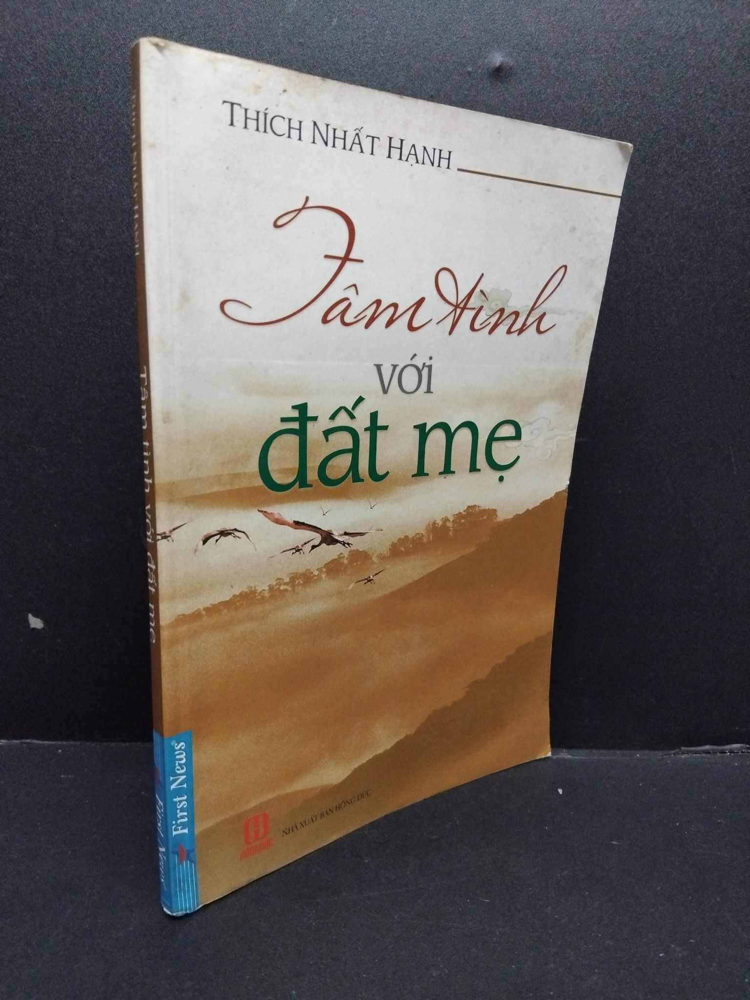 Tâm tình với đất mẹ mới 80% ố 2013 2207 Thích Nhất Hạnh Phật giáo (SL có thể đặt: 1 Cuốn) - SÁCH ĐẠI HỌC