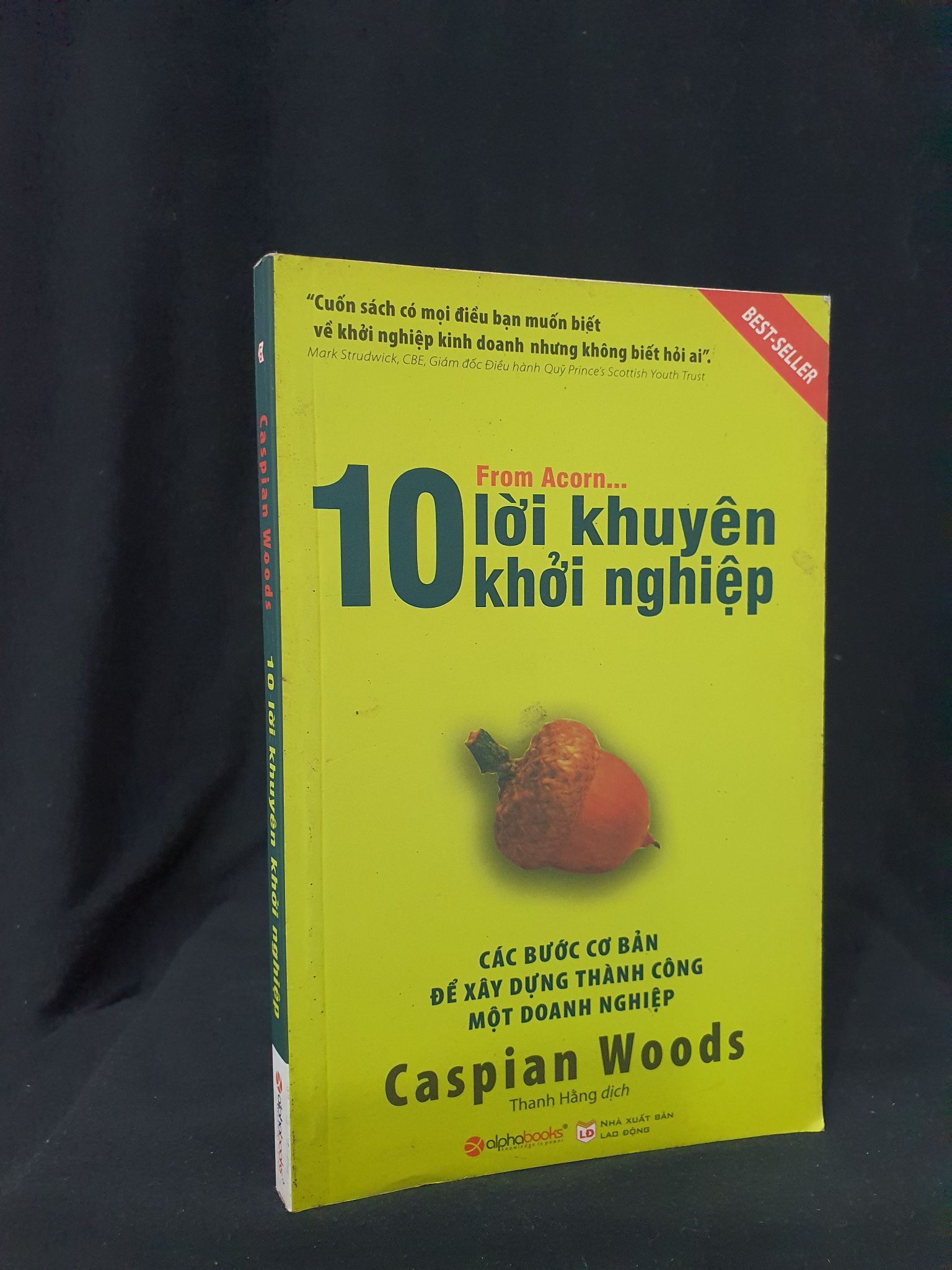 10 Lời khuyên khởi nghiệp mới 80% 2016 -205 Caspian Woods Khởi nghiệp, làm giàu (SL có thể đặt: 1 Cuốn) - SÁCH ĐẠI HỌC