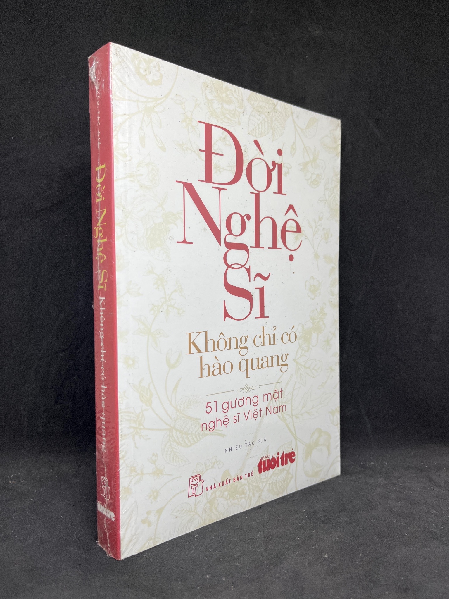 Đời Nghệ Sĩ: Không Chỉ Có Hào Quang - Nhiều Tác Giả new 90% 0906 (SL có thể đặt: 1 Cuốn) - SÁCH ĐẠI HỌC