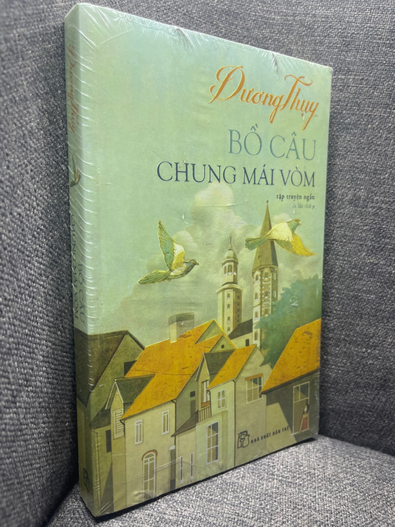 Bồ câu chung mái vòm Dương Thuỵ mới 95% seal ố cạnh 1704 (SL có thể đặt: 1 Cuốn) - SÁCH ĐẠI HỌC