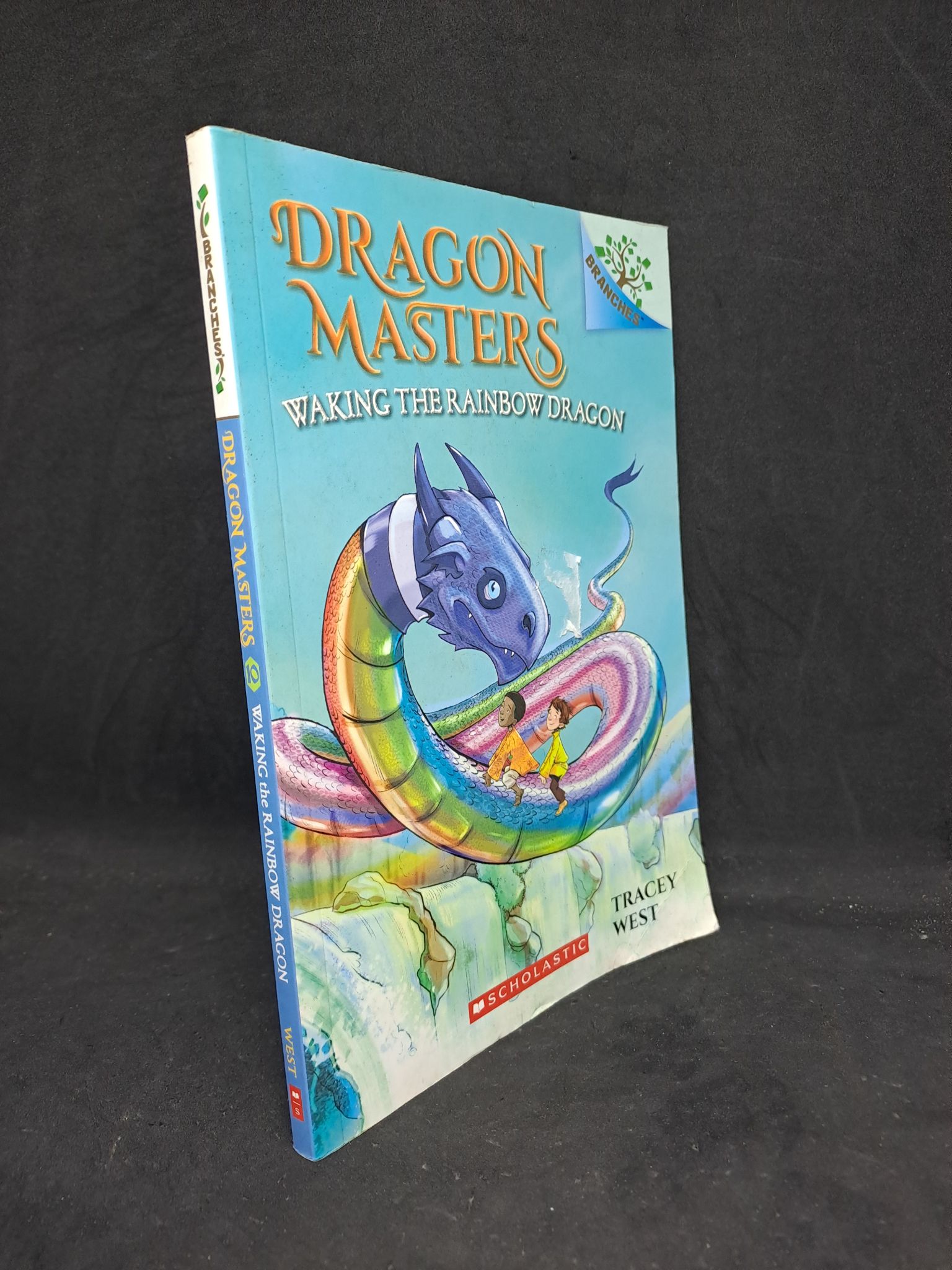 Dragon Master tập 10 mới 90% 0207 Sách ngoại văn (SL có thể đặt: 1 Cuốn) - SÁCH ĐẠI HỌC