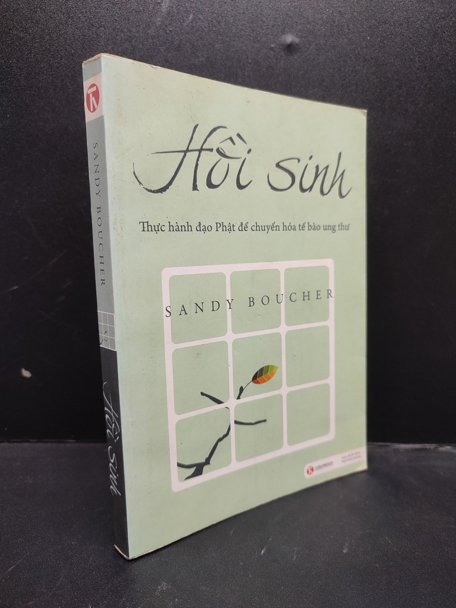 Hồi sinh thực hành đạo Phật để chuyển hóa tế bào ung thư Sandy Boucher 2011 mới 90% ố, có dấu mộc 1202 sức khỏe Sách sức khỏe (SL có thể đặt: 1 Cuốn) - SÁCH ĐẠI HỌC