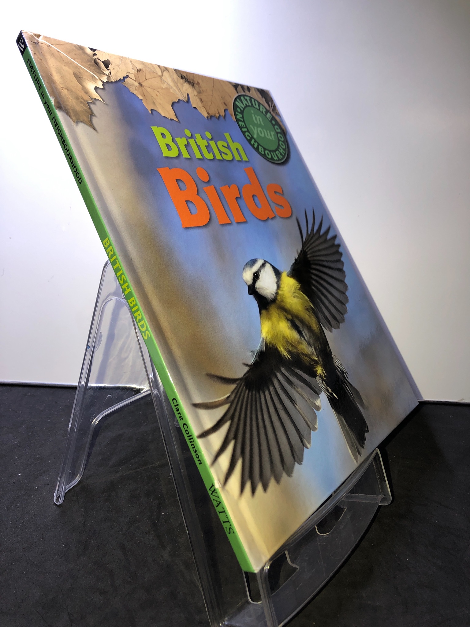 British Birds BÌA CỨNG mới 85% bẩn nhẹ Clare Collinson 3107 Sách ngoại văn (SL có thể đặt: 1 Cuốn) - SÁCH ĐẠI HỌC
