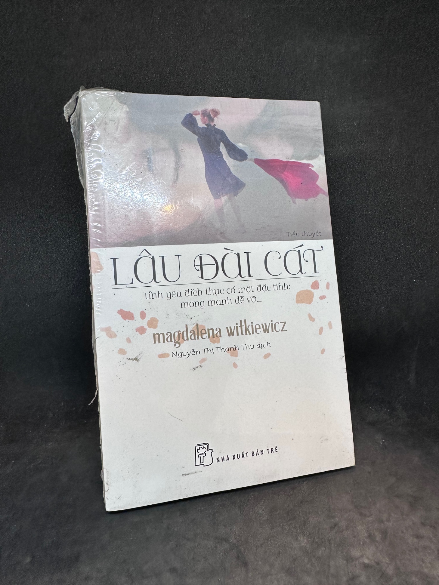 Lâu đài cát Magdalena Witkiewicz New 90% 2703 (SL có thể đặt: 2 Cuốn) - SÁCH ĐẠI HỌC