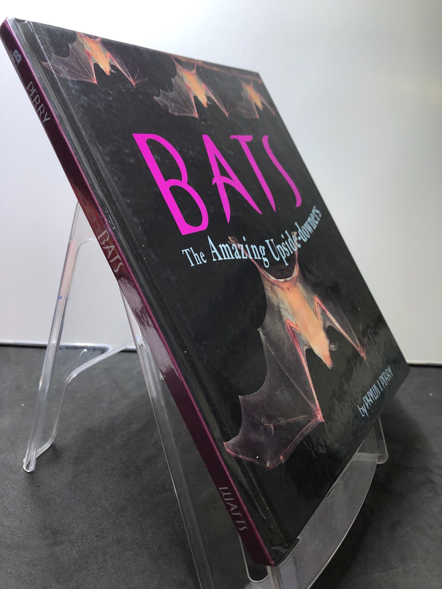 Bats The amazing upside-downers BÌA CỨNG mới 85% bẩn nhẹ Phyllis J.Perry 2607 Sách ngoại văn (SL có thể đặt: 1 Cuốn) - SÁCH ĐẠI HỌC