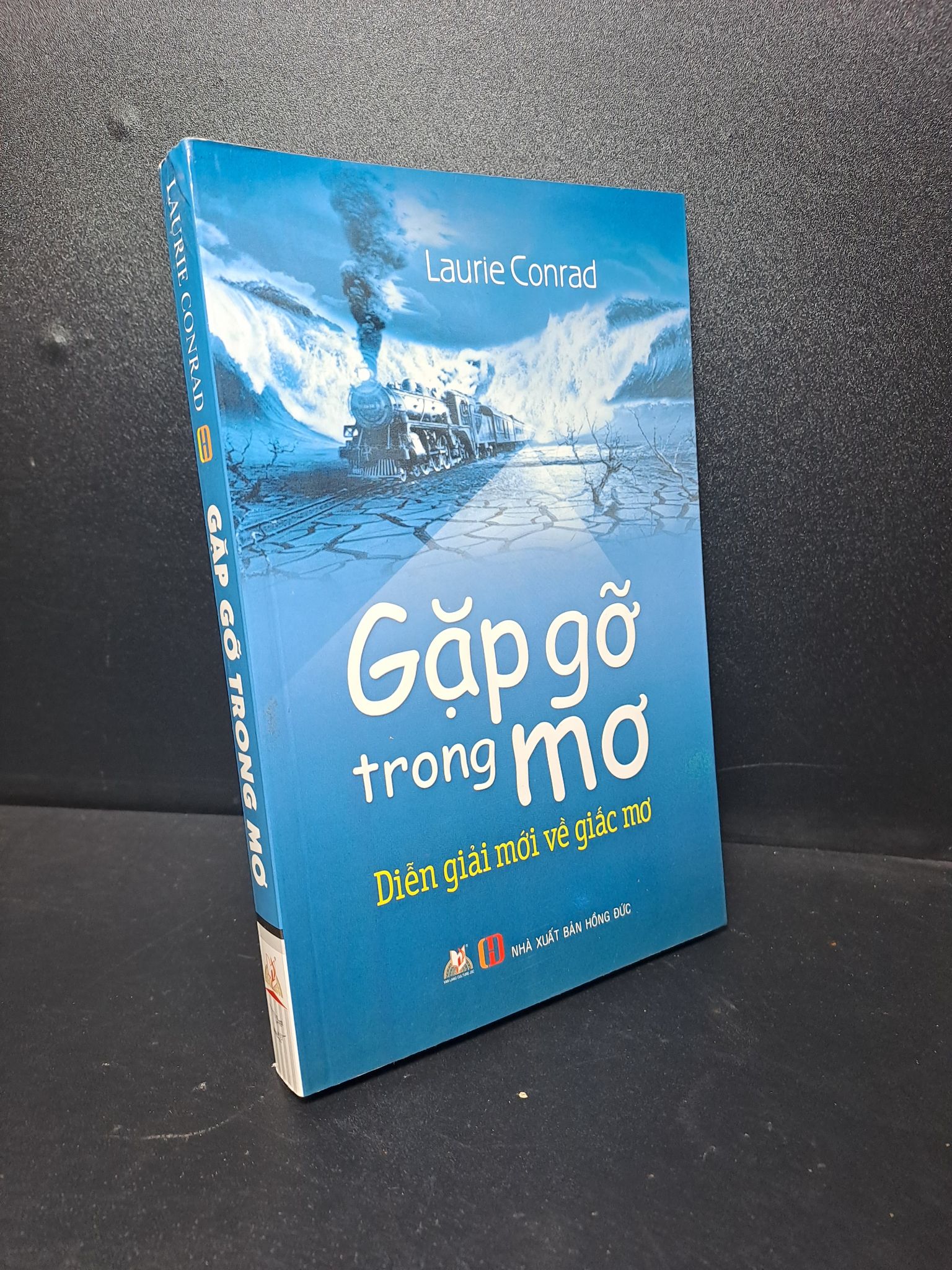 Gặp gỡ Trong Mơ diễn giải mới về giấc mơ 2014 mới 90% 2609 (SL có thể đặt: 1 Cuốn) - SÁCH ĐẠI HỌC