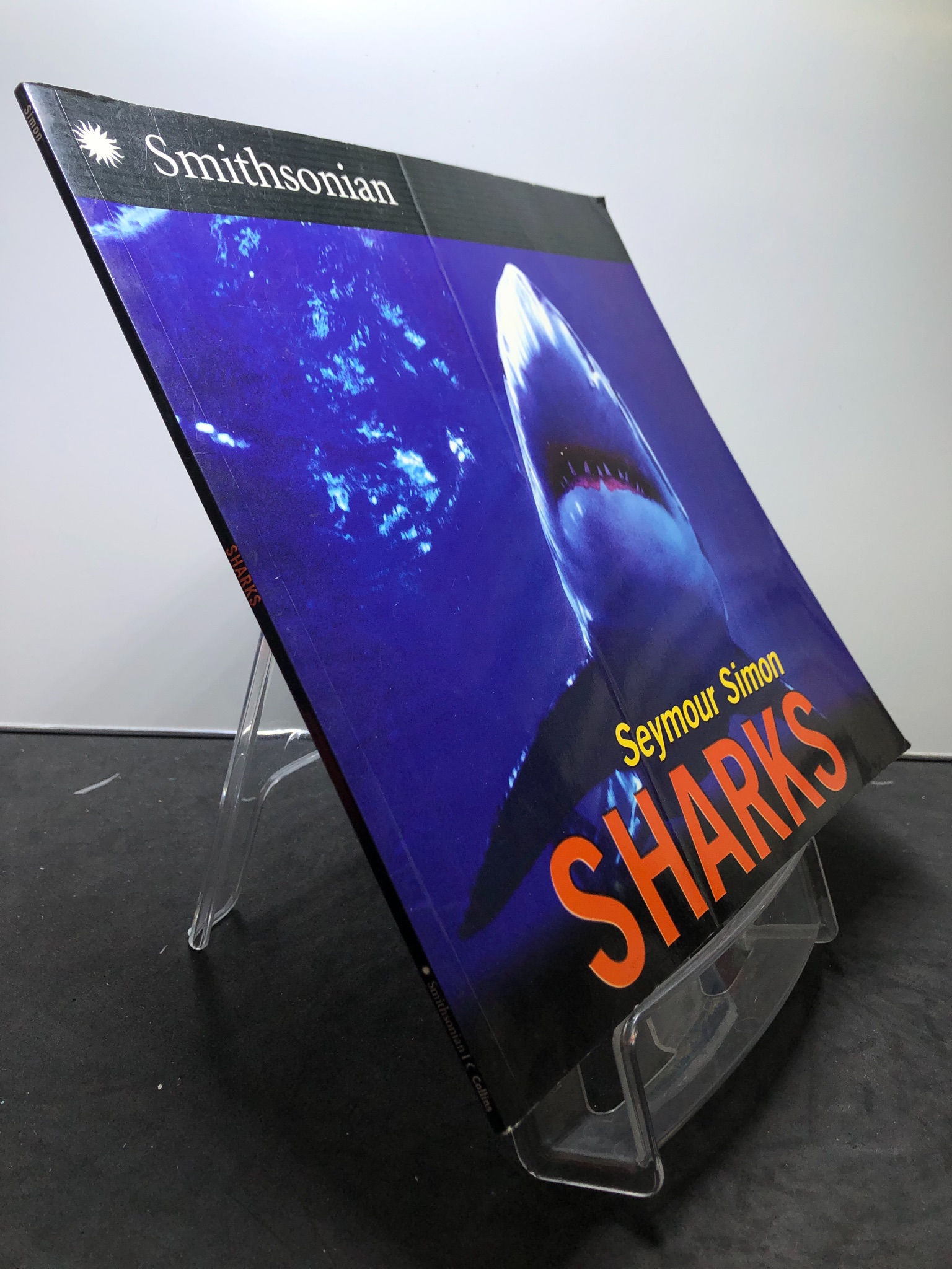 SHARKS mới 85% nếp gấp bìa Seymour Simon 2607 Sách ngoại văn (SL có thể đặt: 1 Cuốn) - SÁCH ĐẠI HỌC