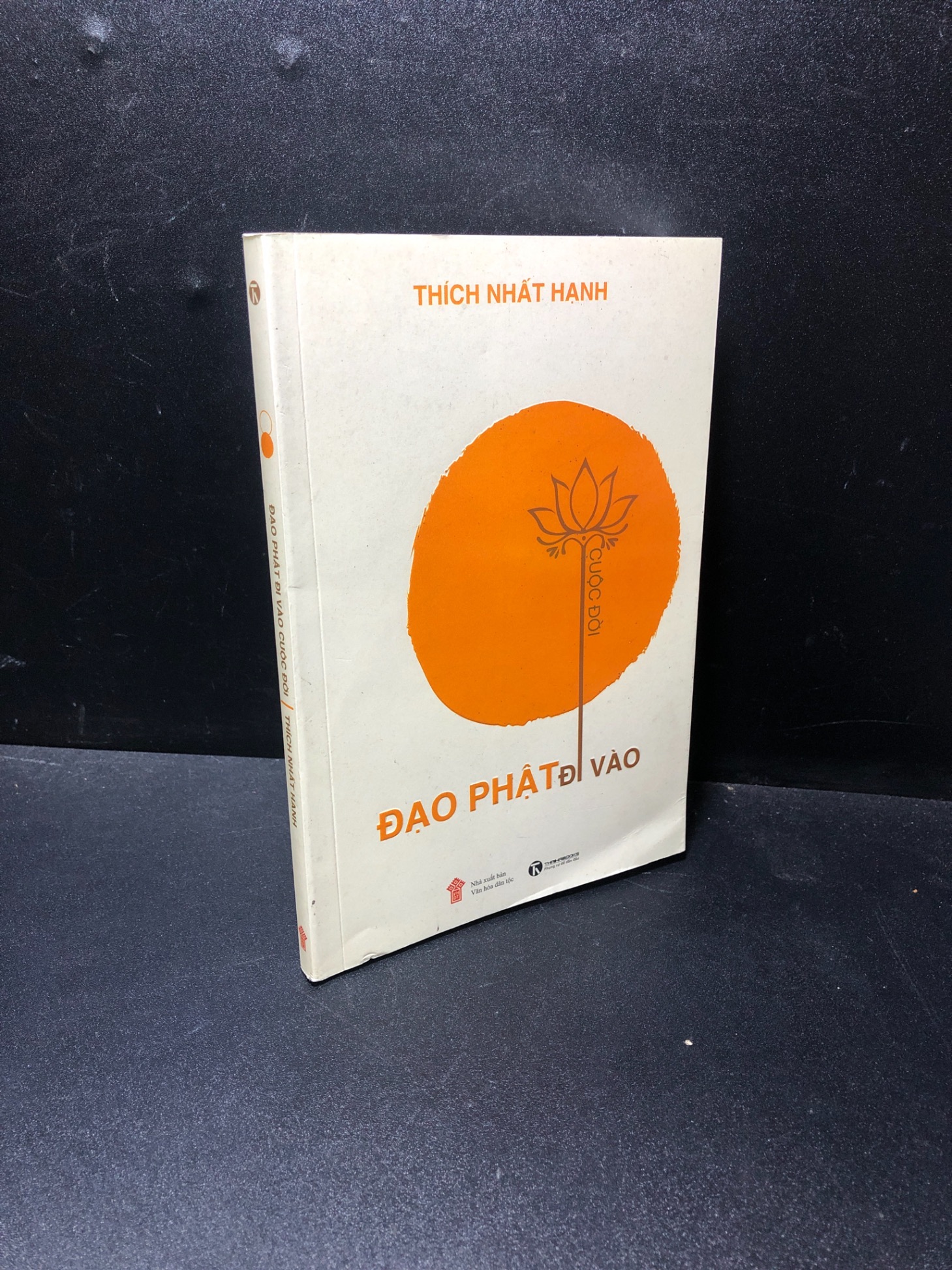 Đạo Phật đi vào Thích Nhất Hạnh 2017 mới 80% 0611 Phật giáo (SL có thể đặt: 1 Cuốn) - SÁCH ĐẠI HỌC