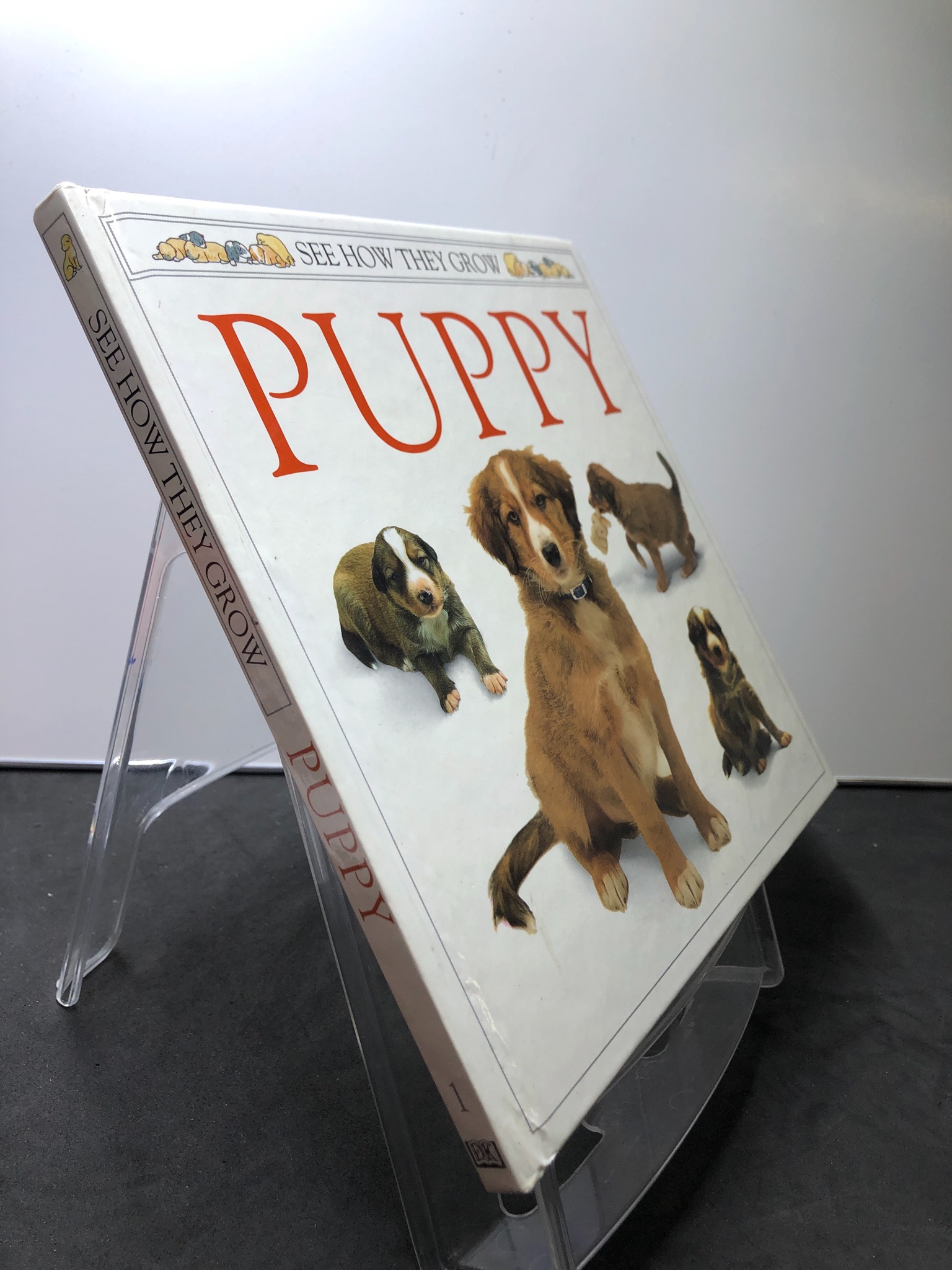 Puppy See how they grow DK 2607 Sách ngoại văn (SL có thể đặt: 1 Cuốn) - SÁCH ĐẠI HỌC