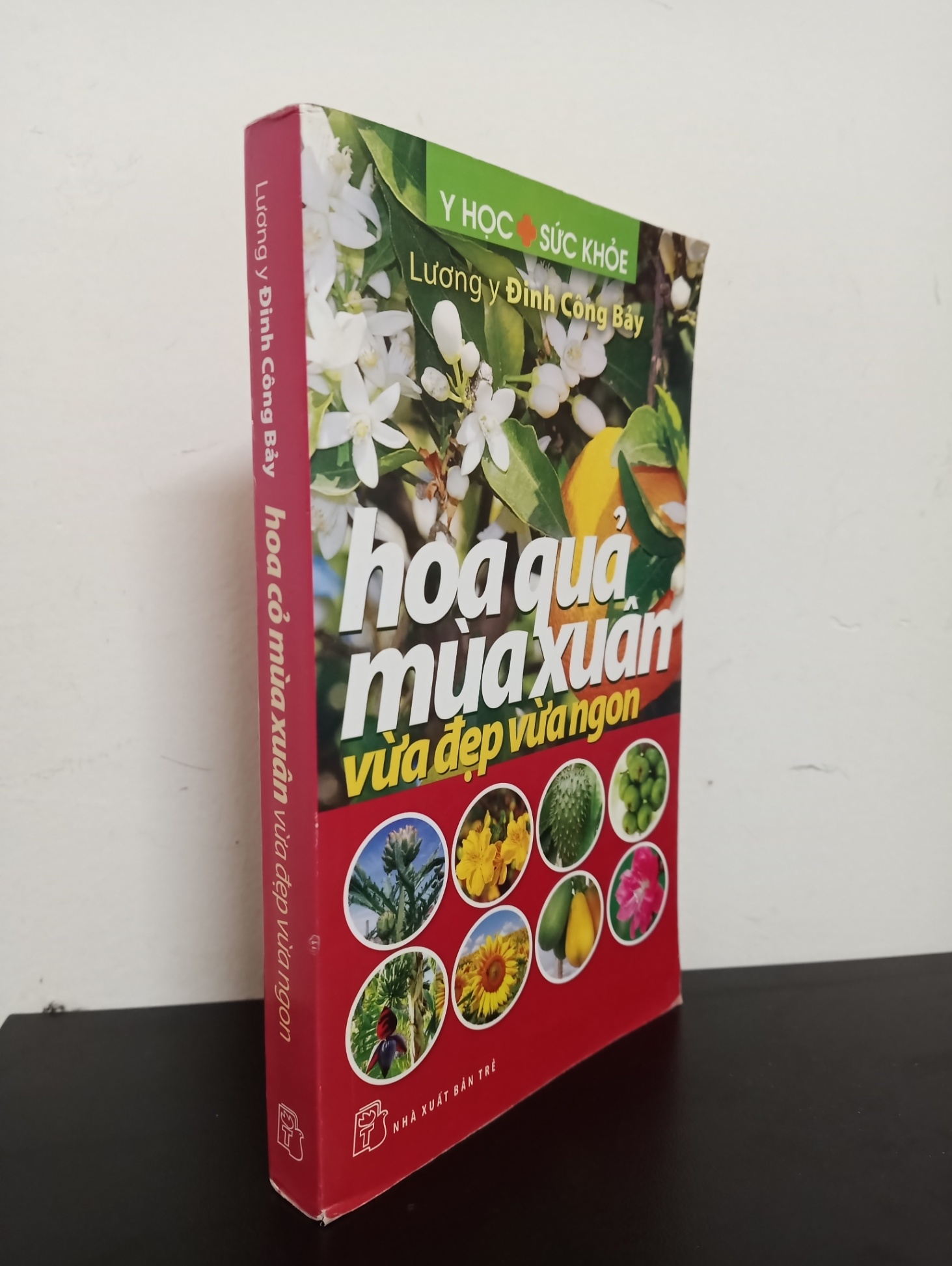 Hoa Quả Mùa Xuân - Vừa Đẹp Vừa Ngon (2013) - Lương y Đinh Công Bảy Mới 80% 1103 (SL có thể đặt: 1 cuốn) - SÁCH ĐẠI HỌC