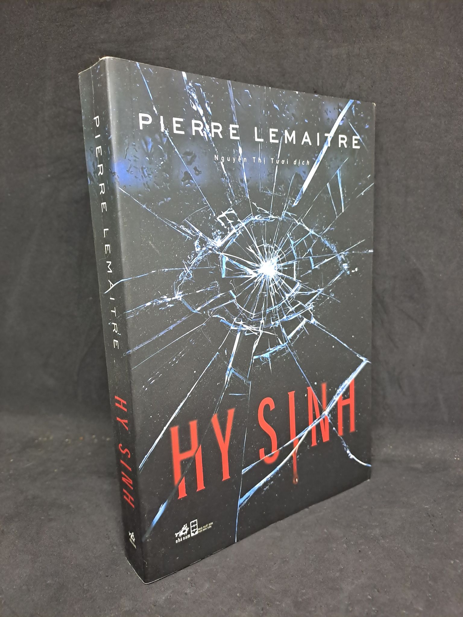 Hy sinh - Pierre Lemaitre 2019 mới 90% 1308 (SL có thể đặt: 1 Cuốn) - SÁCH ĐẠI HỌC