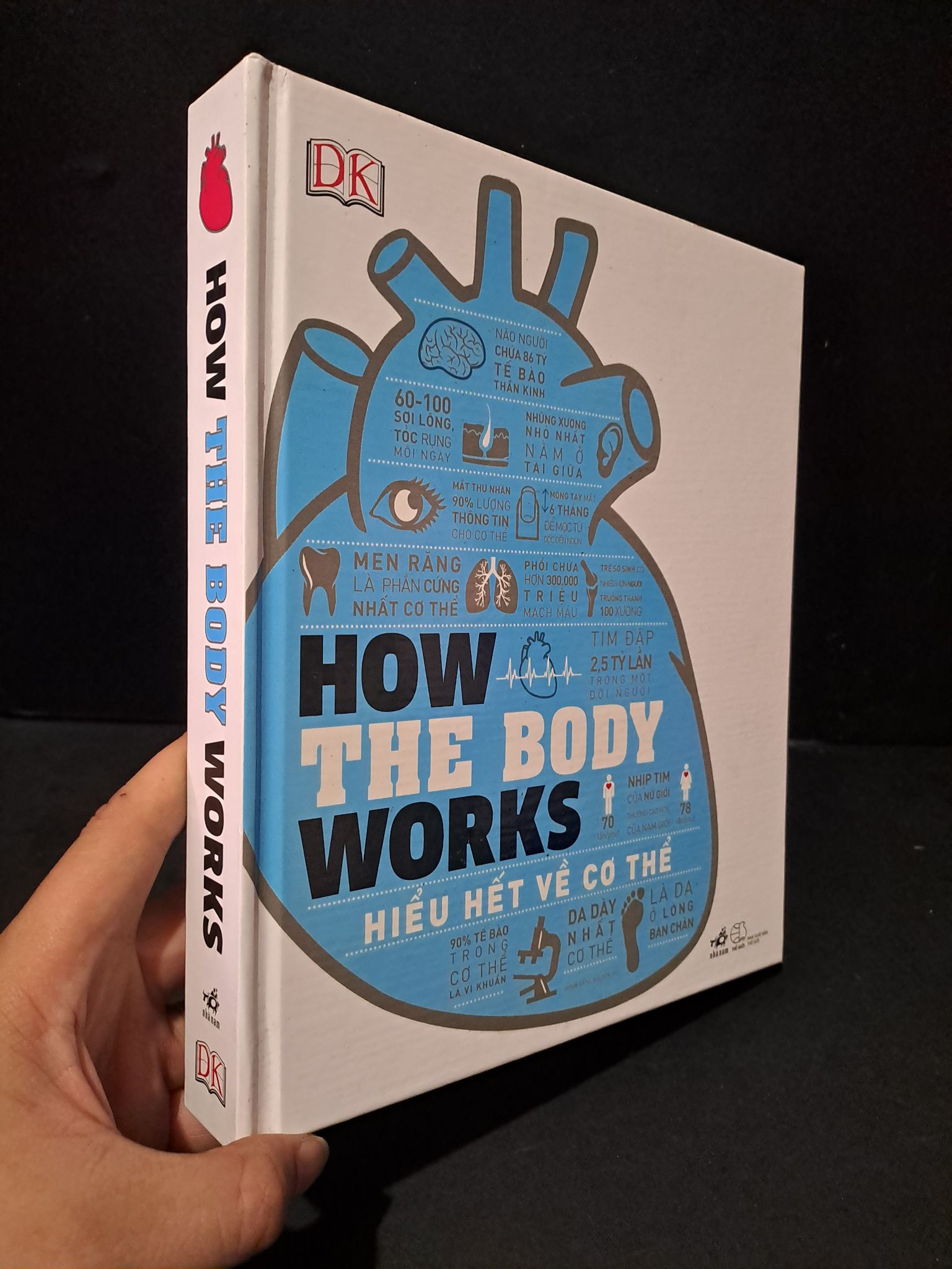 How the body works Hiểu hết về cơ thể (bìa cứng) mới 90% bẩn nhẹ 2020 2104 Sách sức khỏe (SL có thể đặt: 1 Cuốn) - SÁCH ĐẠI HỌC