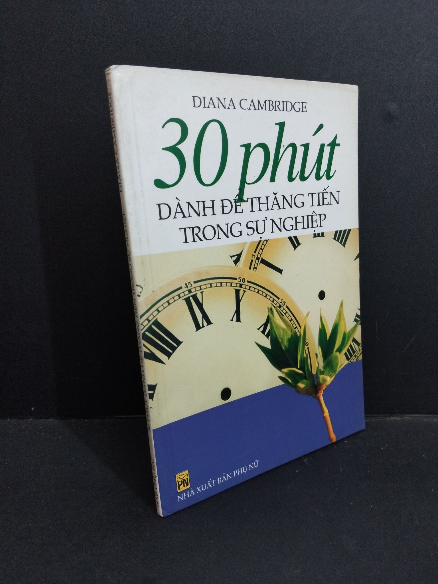 30 phút dành để thăng tiếng trong sự nghiệp mới 80% ố 2003 2811 Diana Cambridge Sách tư duy, kỹ năng sống (SL có thể đặt: 1 Cuốn) - SÁCH ĐẠI HỌC