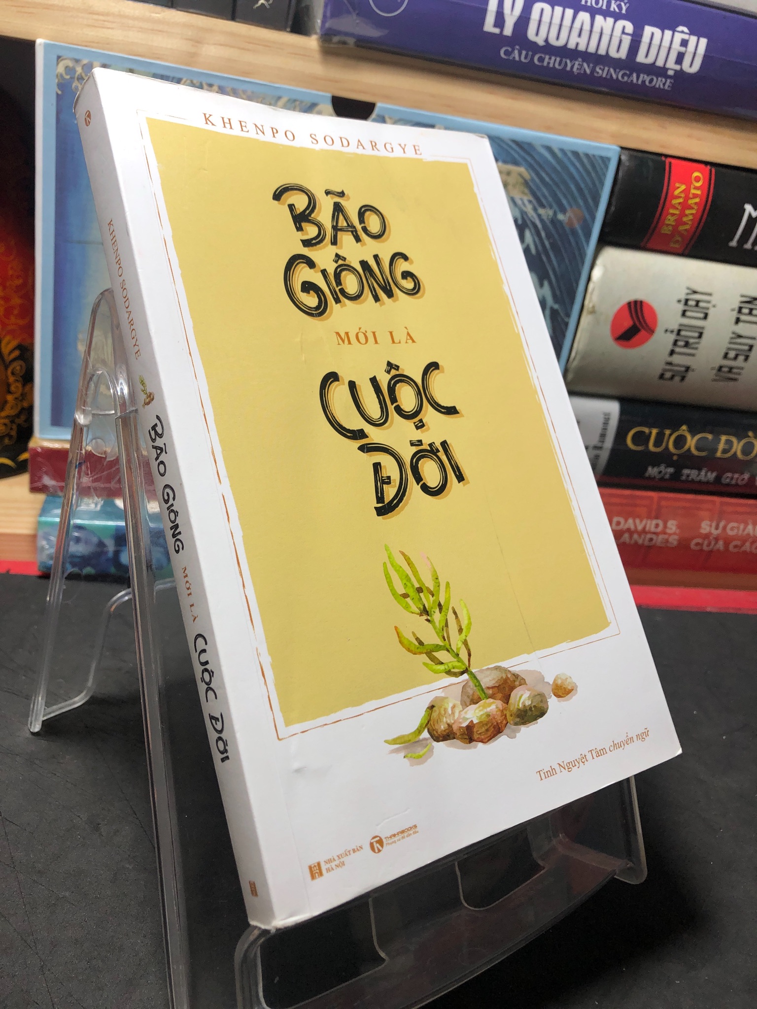 Bão giông mới là cuộc đời 2020 mới 90% Khenpo Sodargye 2709 Sách tư duy, kỹ năng sống (SL có thể đặt: 1 Cuốn) - SÁCH ĐẠI HỌC
