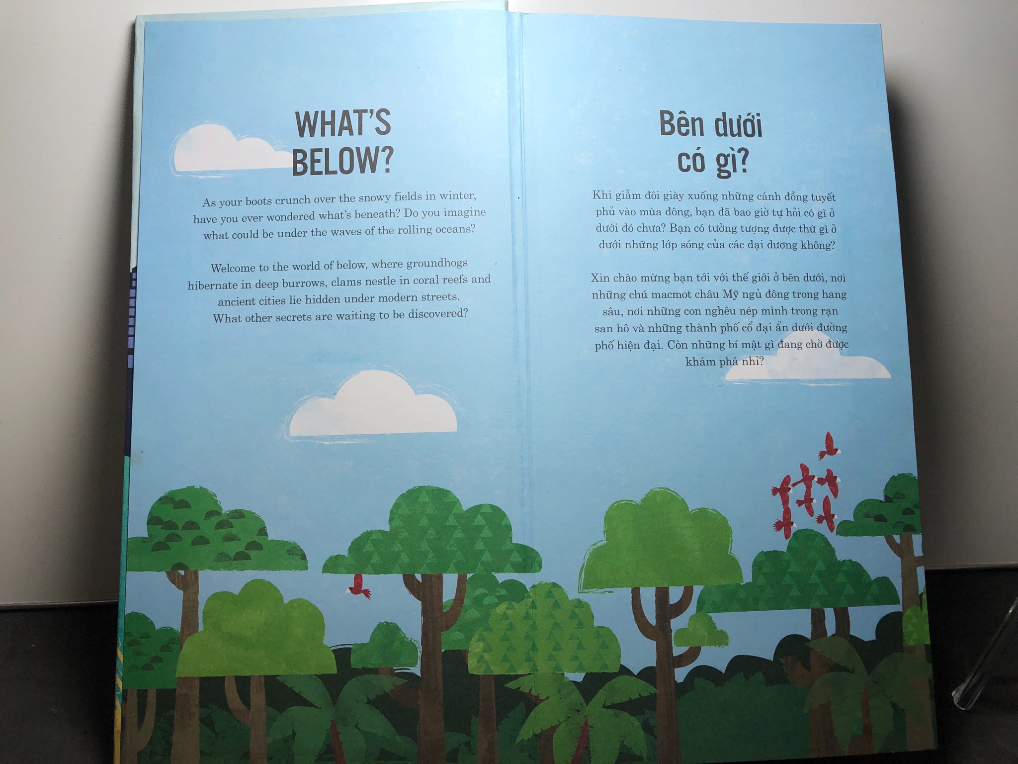 What's below? Bên dưới có gì? song ngữ 3D 2020 mới 85% bẩn nhẹ Thiếu nhi Clive Gifford 2108 Sách ngoại văn (SL có thể đặt: 1 Cuốn) - SÁCH ĐẠI HỌC