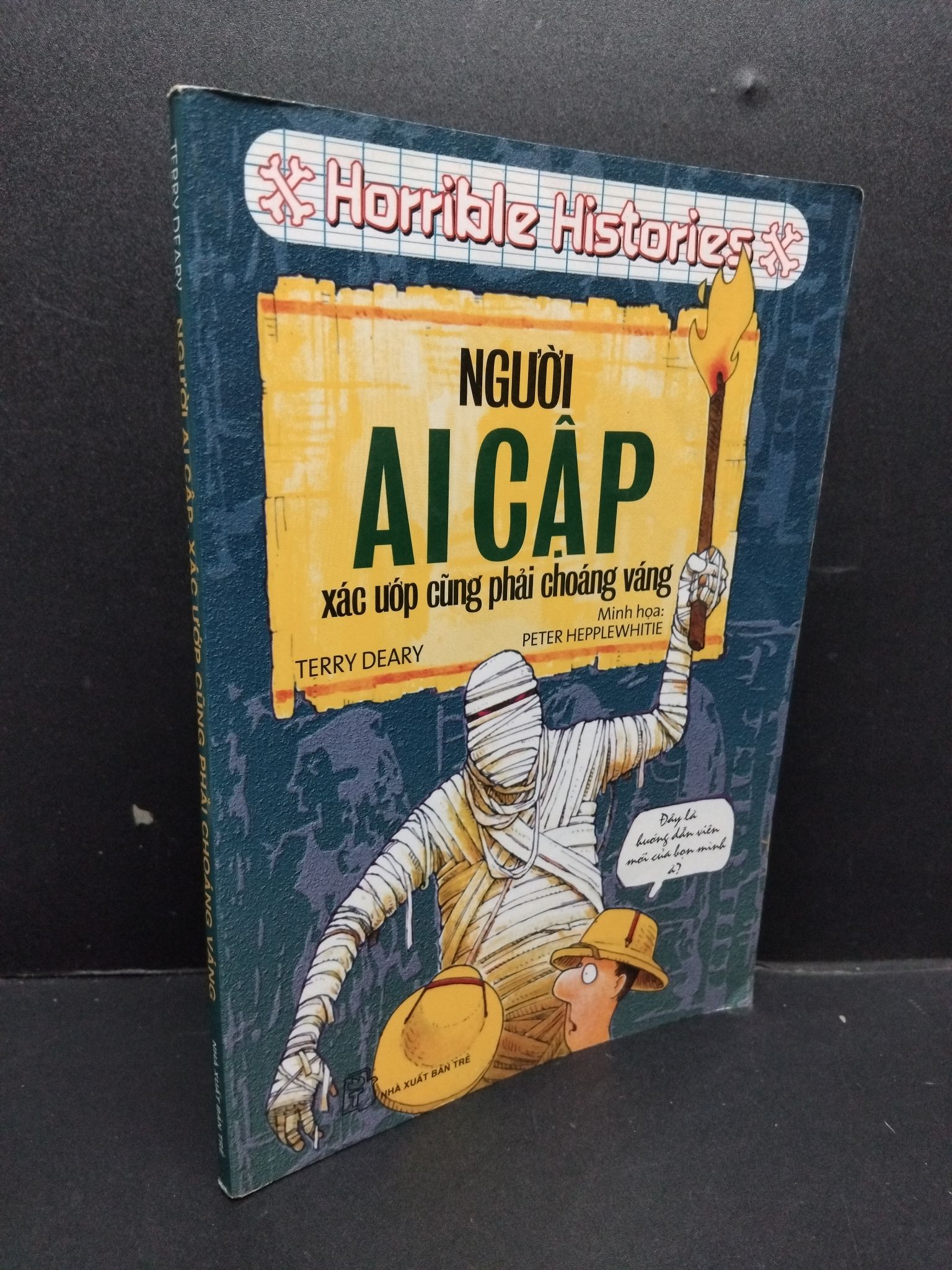 Người Ai Cập, xác ướp cũng phải choáng váng mới 70% ố bẩn 2009 1008 Terry Deary Kiến thức bách khoa (SL có thể đặt: 1 Cuốn) - SÁCH ĐẠI HỌC