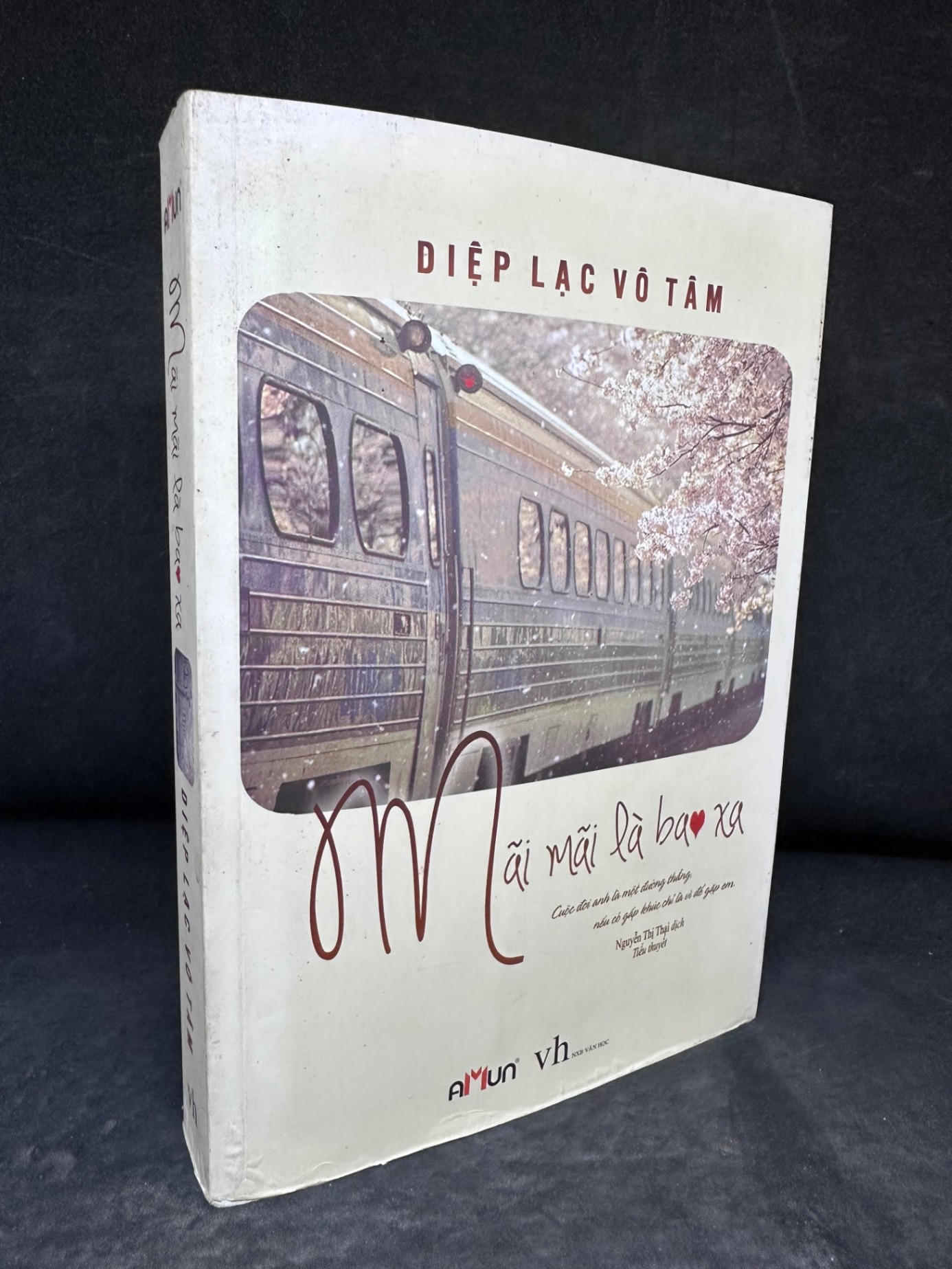 [Phiên Chợ Sách Cũ] Mãi Mãi Là Bao Xa - Diệp Lạc Vô Tâm 2804, 2016 (SL có thể đặt: 1 Cuốn) - SÁCH ĐẠI HỌC