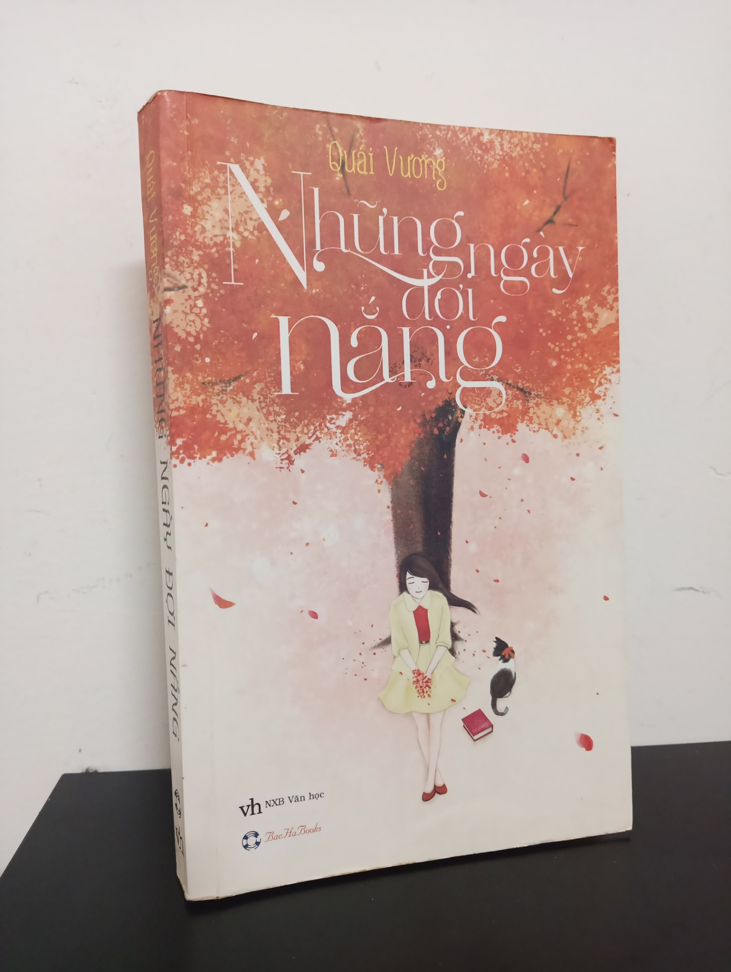 Những Ngày Đợi Nắng (2013) - Quái Vương Mới 80% 2301 (SL có thể đặt: 1 cuốn) - SÁCH ĐẠI HỌC