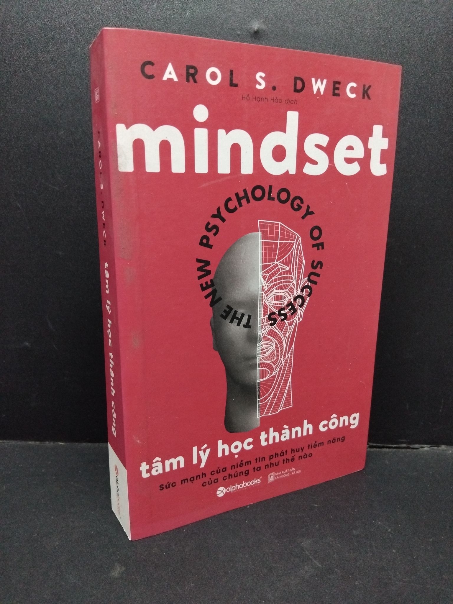 Tâm lý học thành công mới 80% ố 2018 1410 Carol S. Dweck Sách tâm lý (SL có thể đặt: 2 Cuốn) - SÁCH ĐẠI HỌC