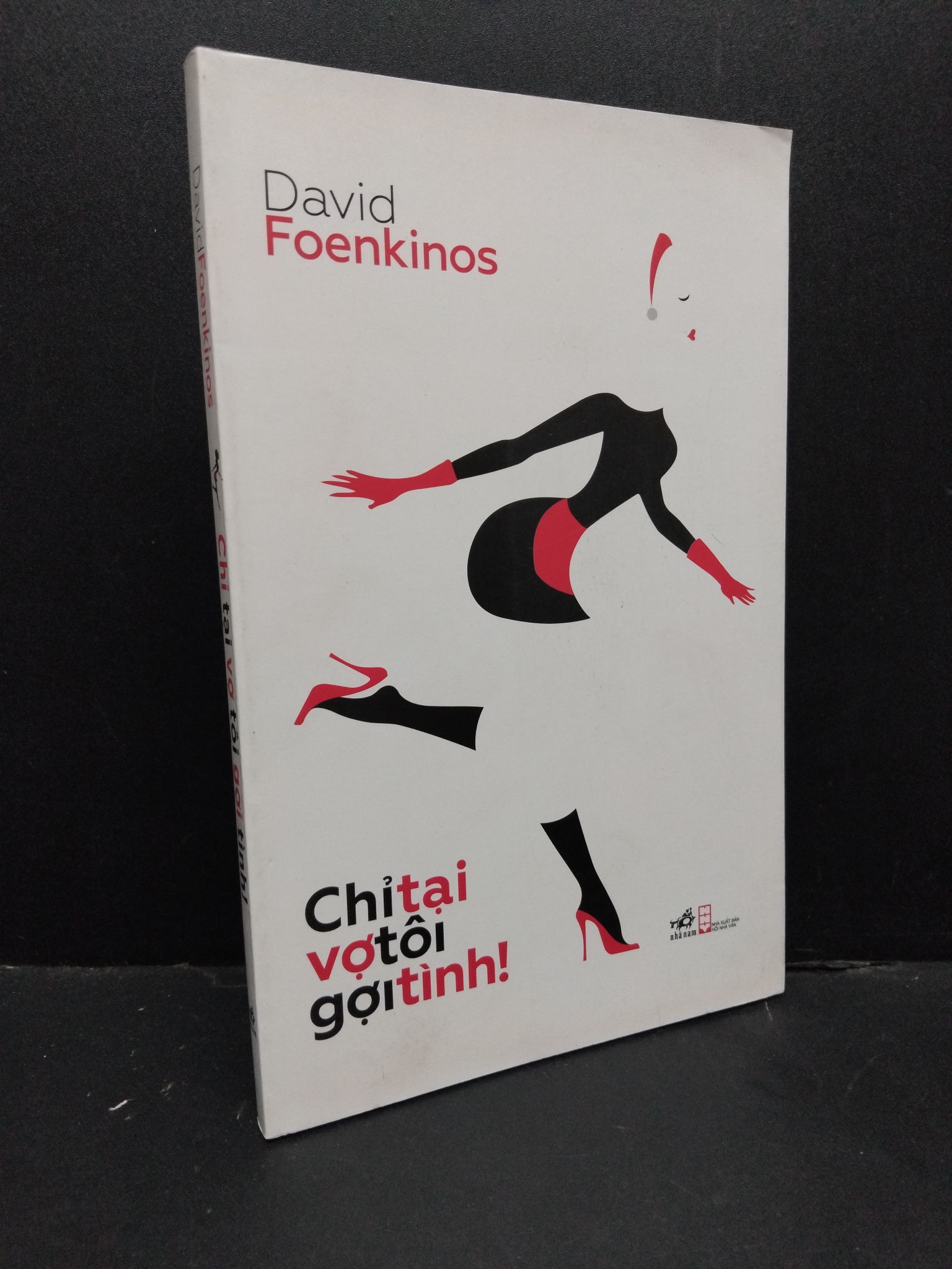 Chỉ tại vợ tôi gợi tình! mới 80% ố nhẹ 2014 1410 David Foenkinos (SL có thể đặt: 2 Cuốn) - SÁCH ĐẠI HỌC